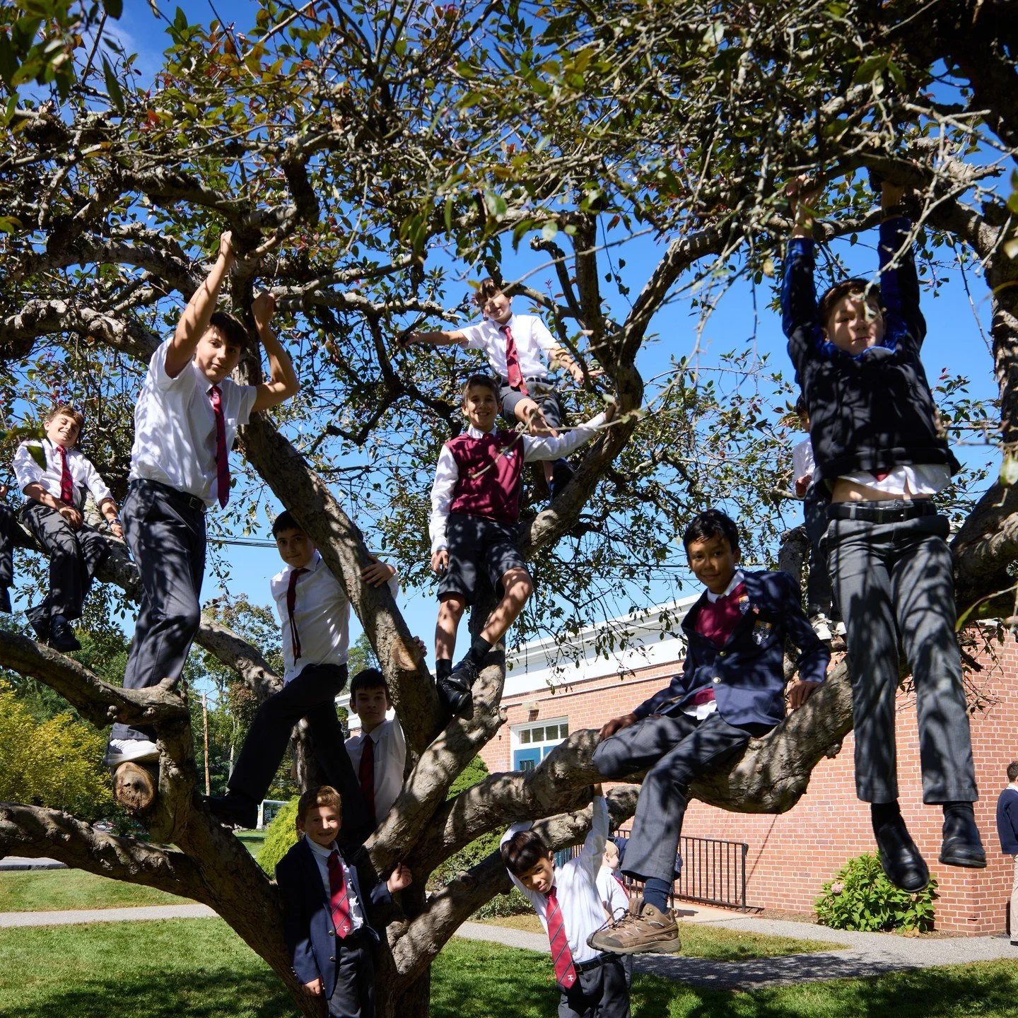 At The Hawthorn School, childhood is filled with friendship, adventure, and plenty of time to climb trees. Sometimes they fall, but always they learn! 

Come see what makes childhood at Hawthorn so special! Join us for our upcoming Open House. Link i
