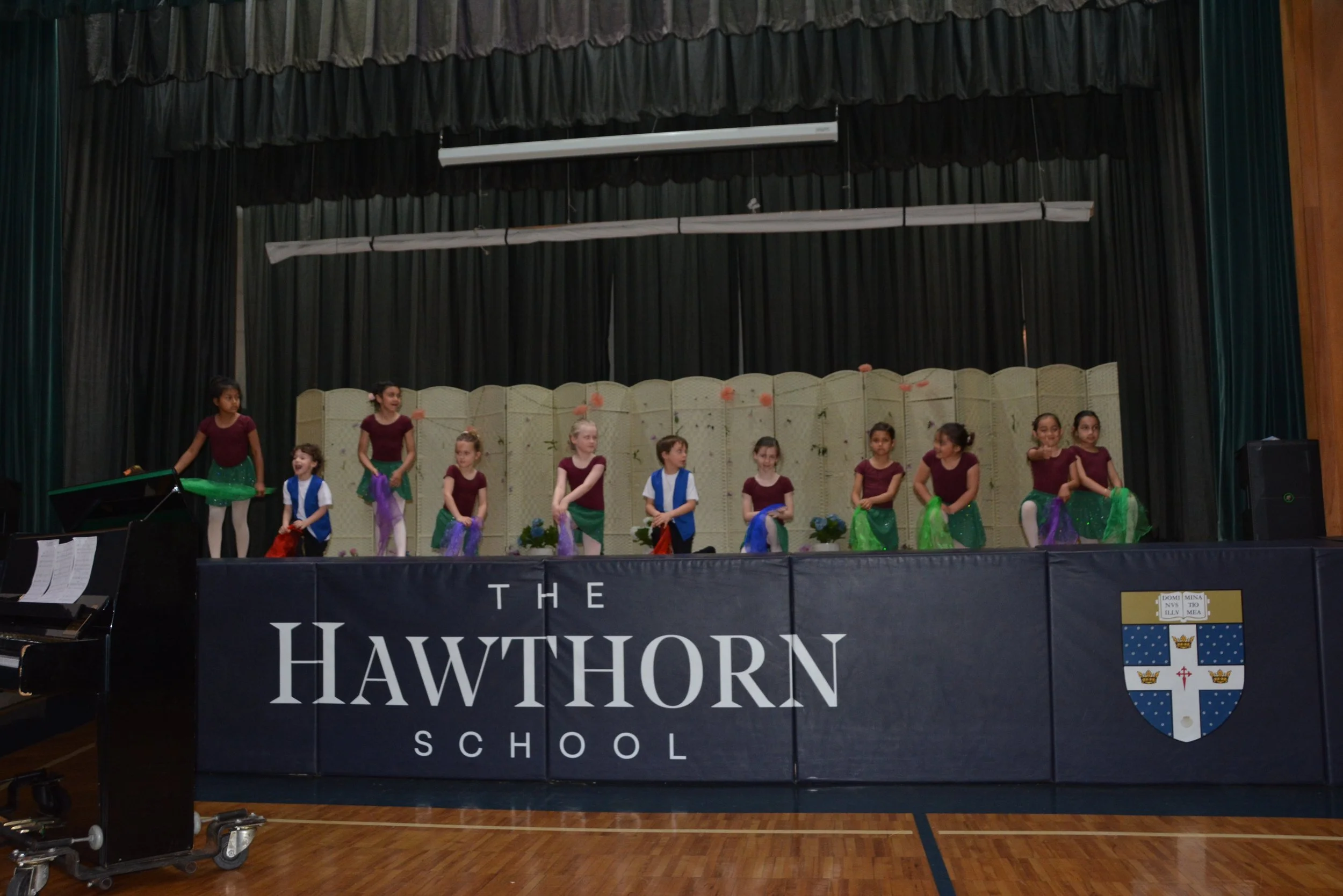 DSC_3063_springshowcase.JPG