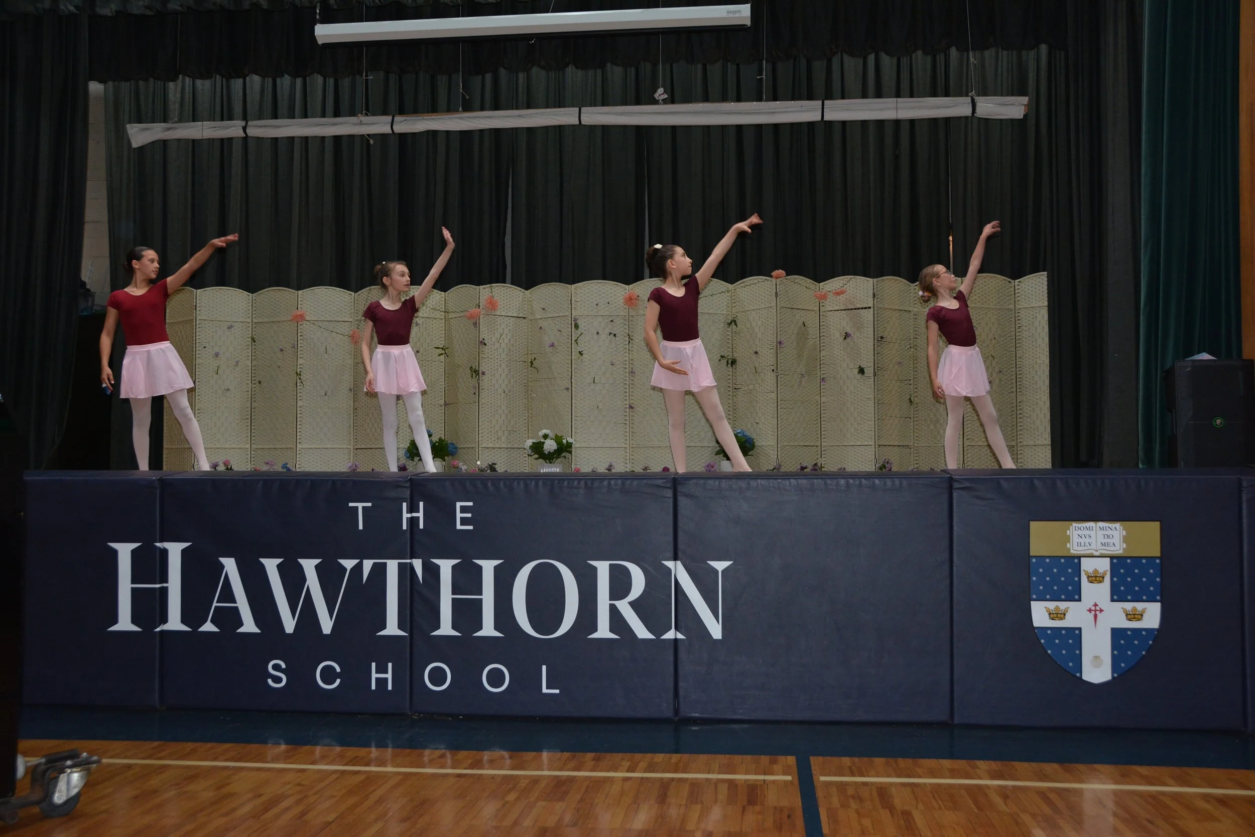 DSC_2999_springshowcase.JPG
