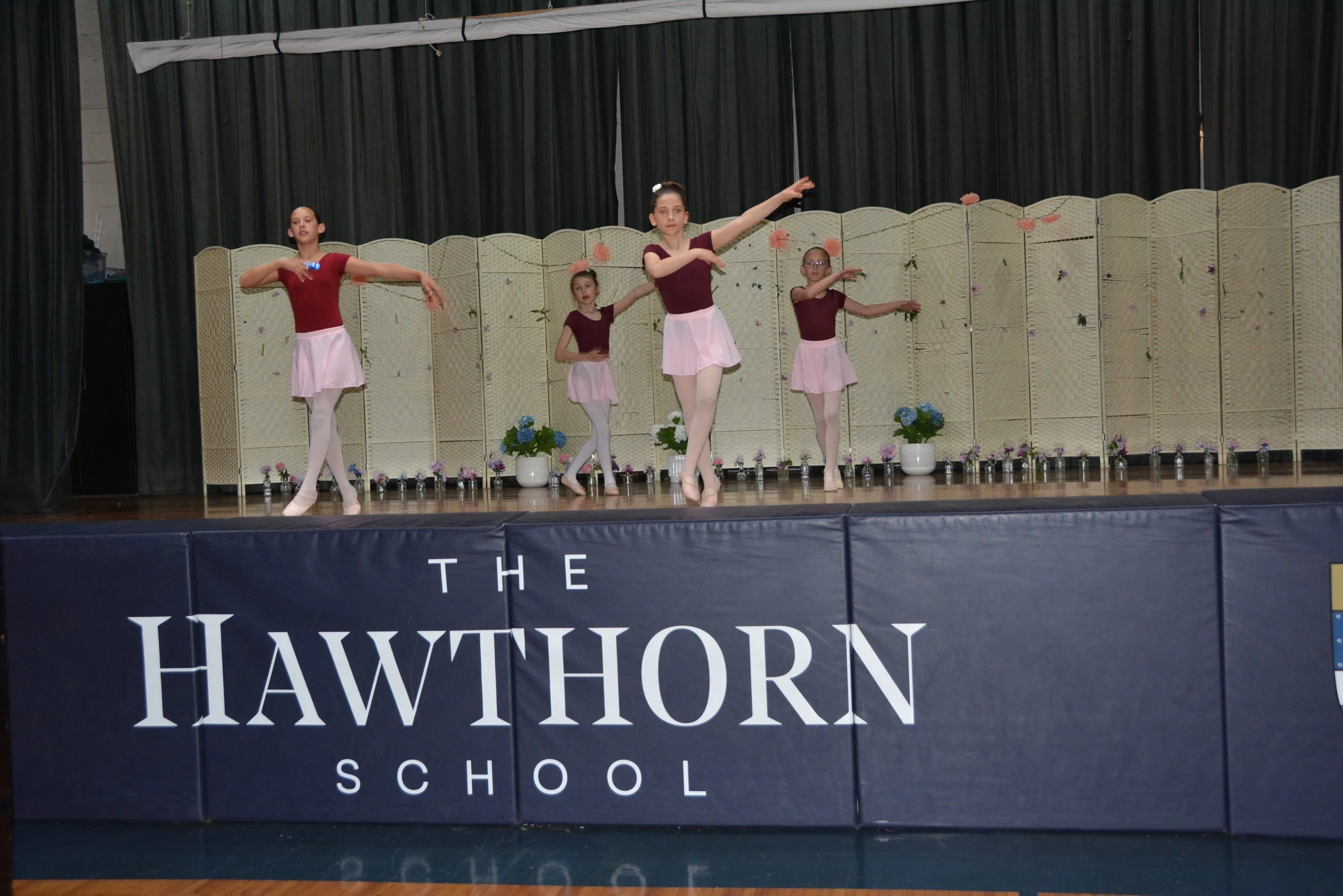 DSC_3006_springshowcase.JPG
