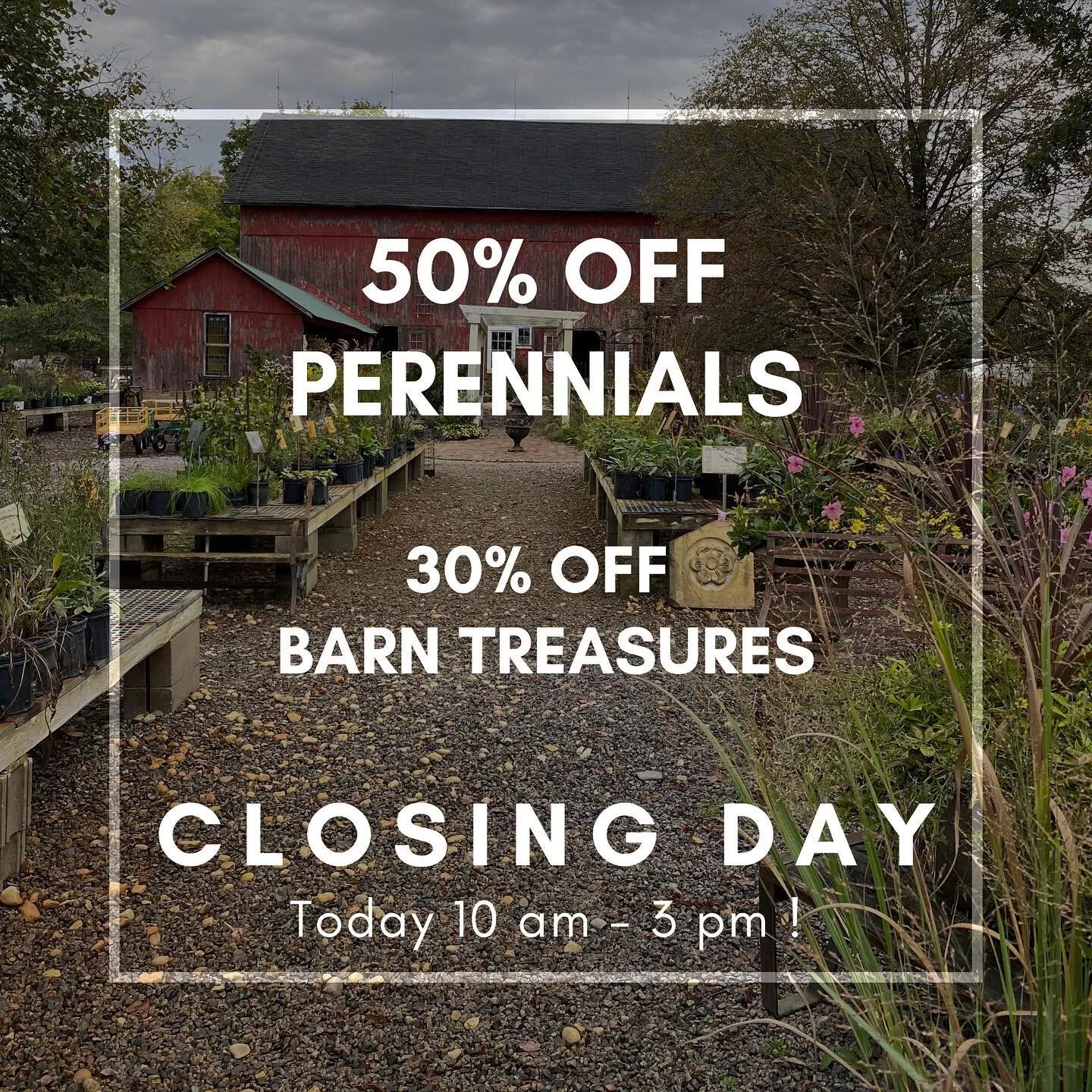 Last day of the season! 

No Packer Game to watch-

Sun is out for now&hellip;

See you at the farm!

#northwindperennialfarm 
#cultivateeducateinspire 
#explorewisconsin 
#shoplocal 
#visitlakegeneva 
#fallfun 
#perennialplant