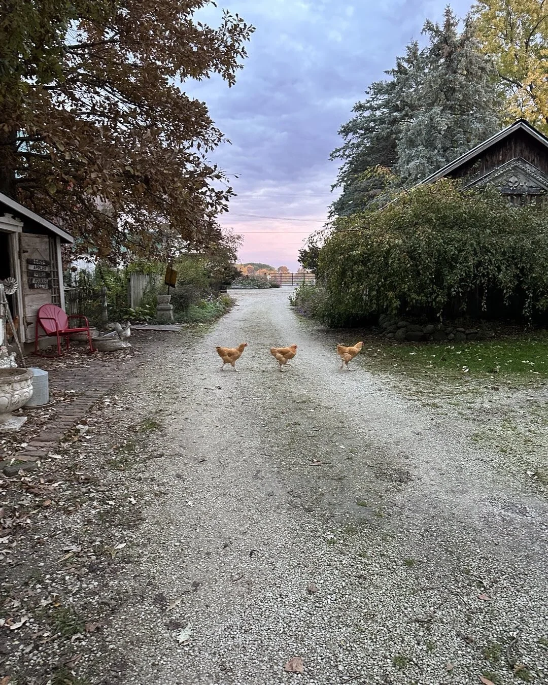 Why did the chickens cross the road?

To check out our 2024 Event Calendar of course!

With only 36 days till open (April 20) you can start filling your summer calendar now as our event lineup for the season takes shape.

Follow the link in our bio t