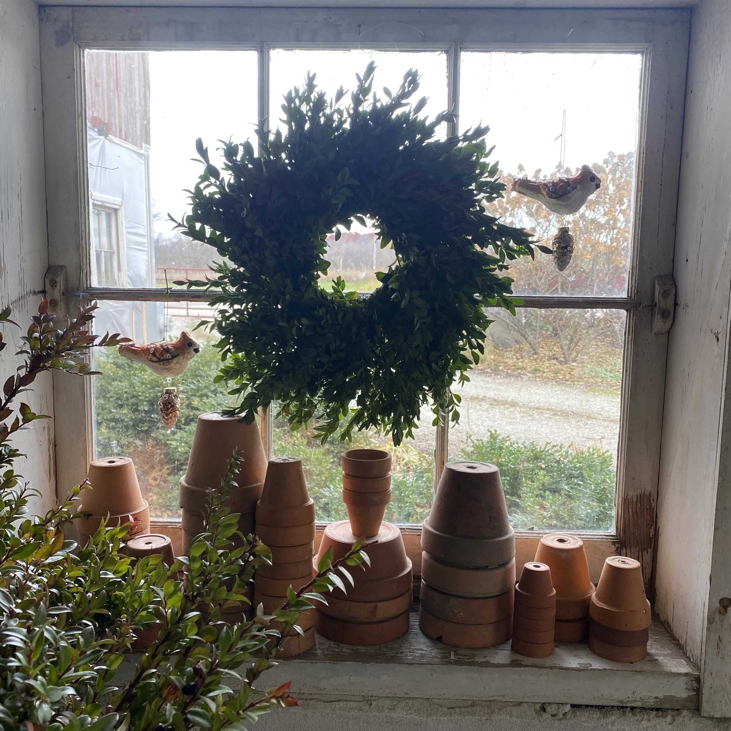 Twelve Days of Christmas at Northwind