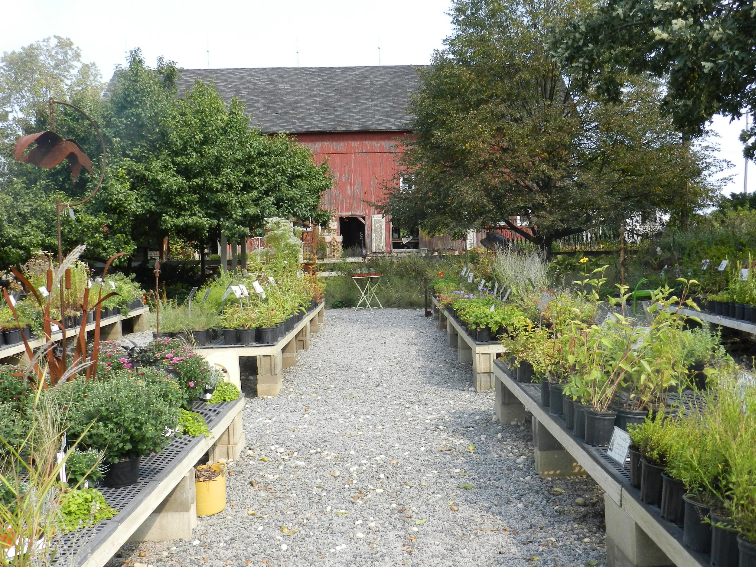 Sitemapcdatahttpautocellcare1comdeseret Nursery Perennial Farm