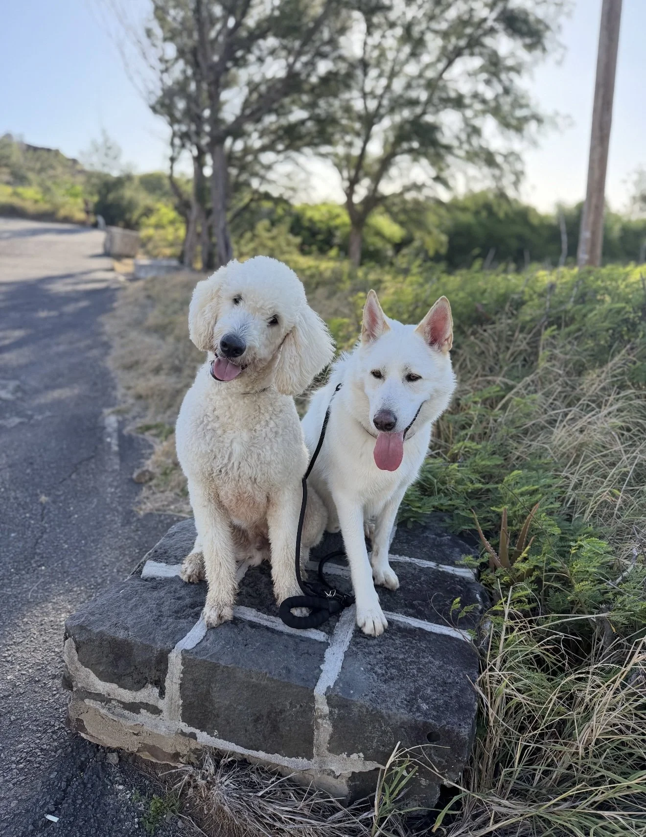 Screenshot 2025-05-30 at 3.35.39 PM.jpg