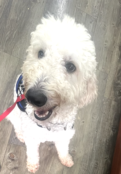 Screenshot 2025-06-06 at 5.46.51 PM.png