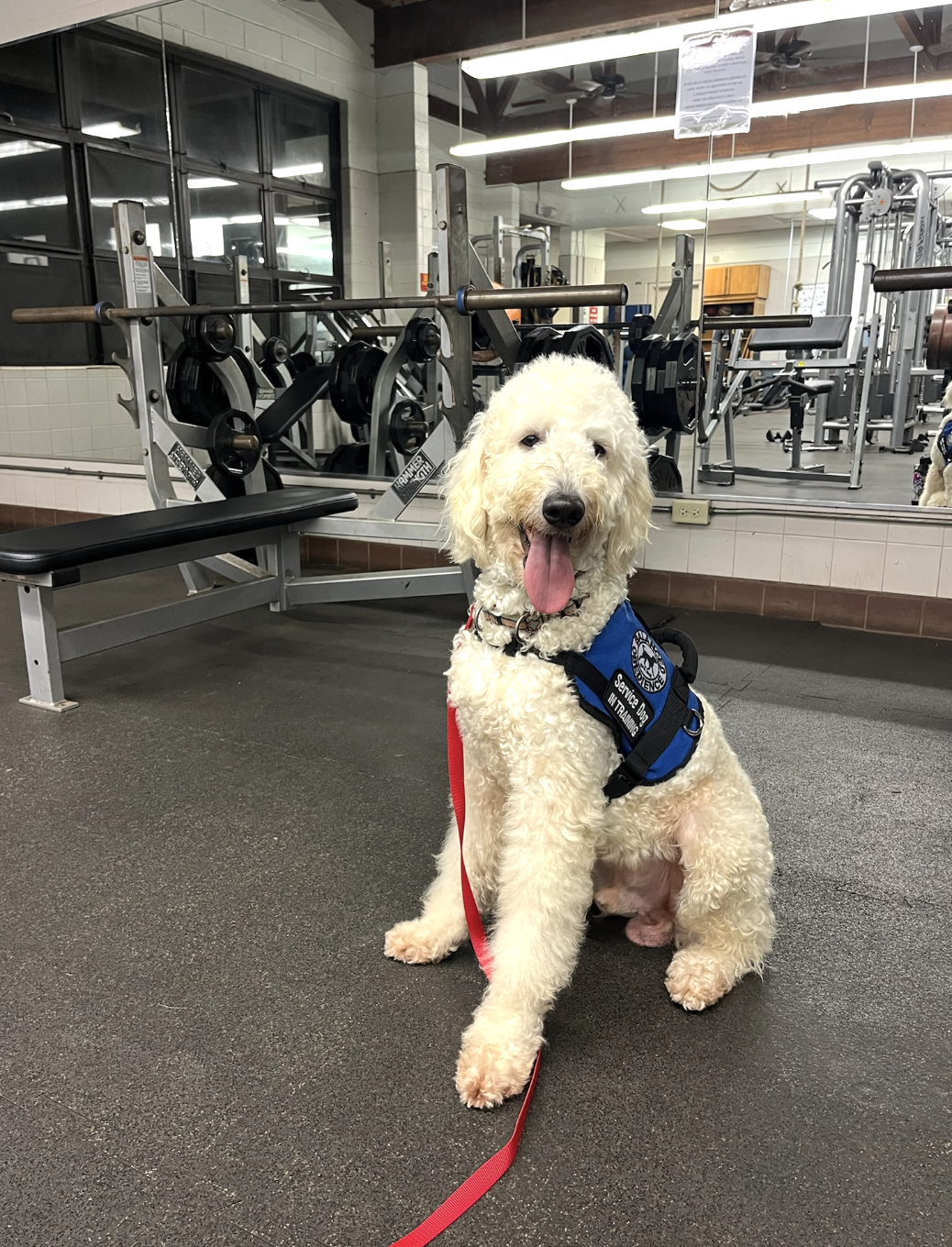 Screenshot 2025-06-06 at 5.46.26 PM.png