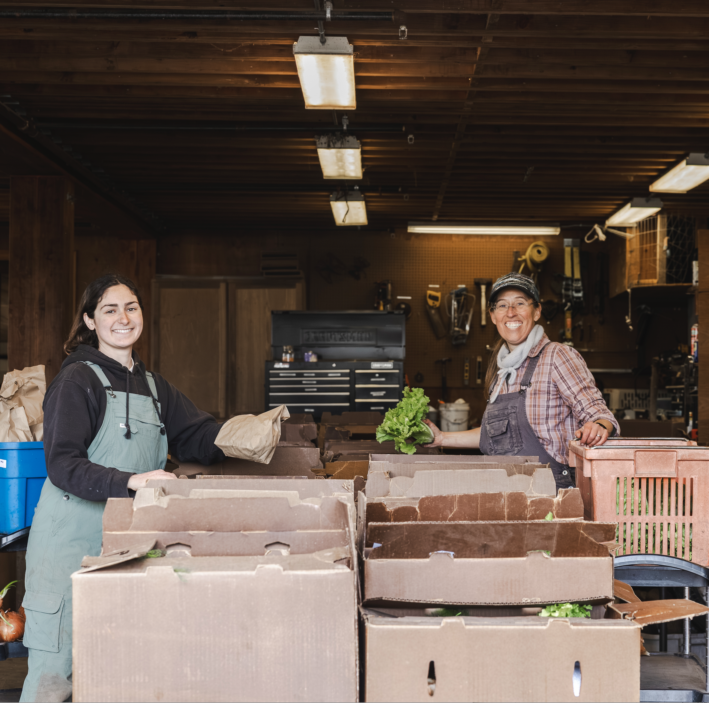 2/4/25 Getting our 2026 CSA sign ups &amp; more