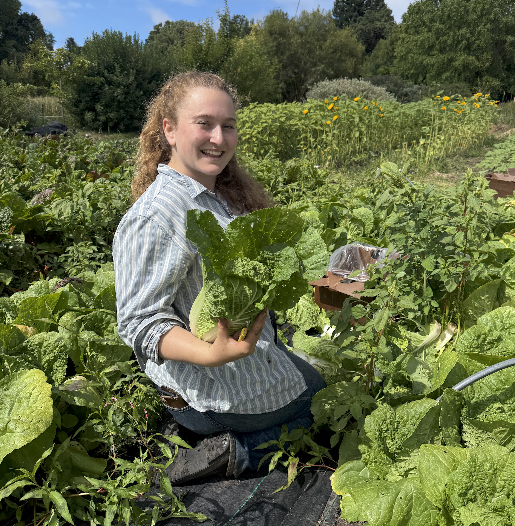 6/10/26 Nutrient Density and Regenerative Ag
