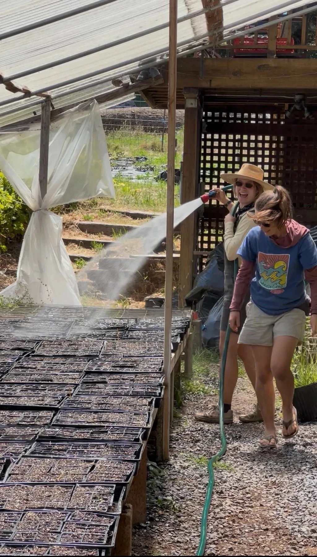 7/15/26  Hot Weather on the Farm