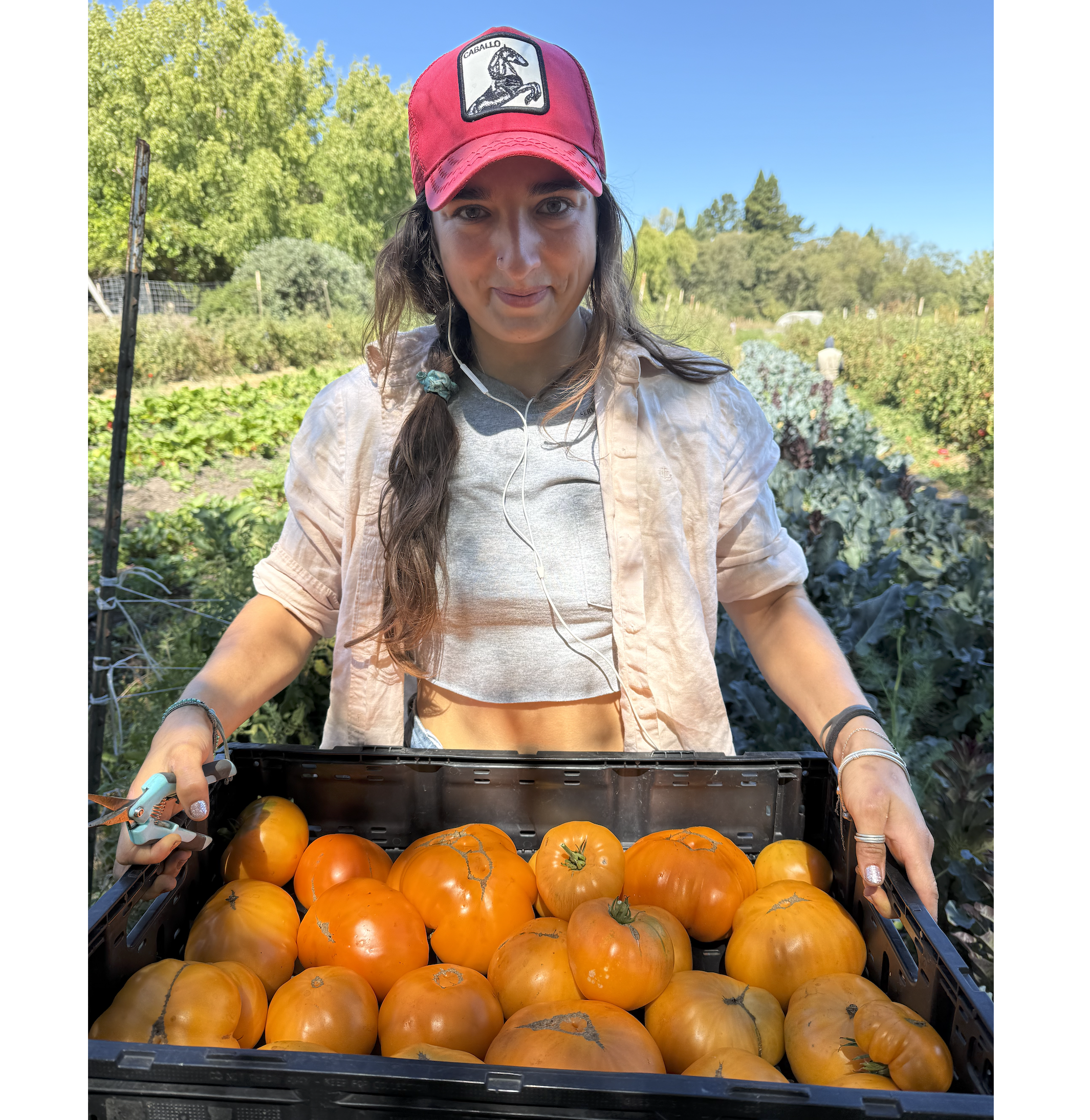 9/9/26 Crunch Time &amp; Transition Time
