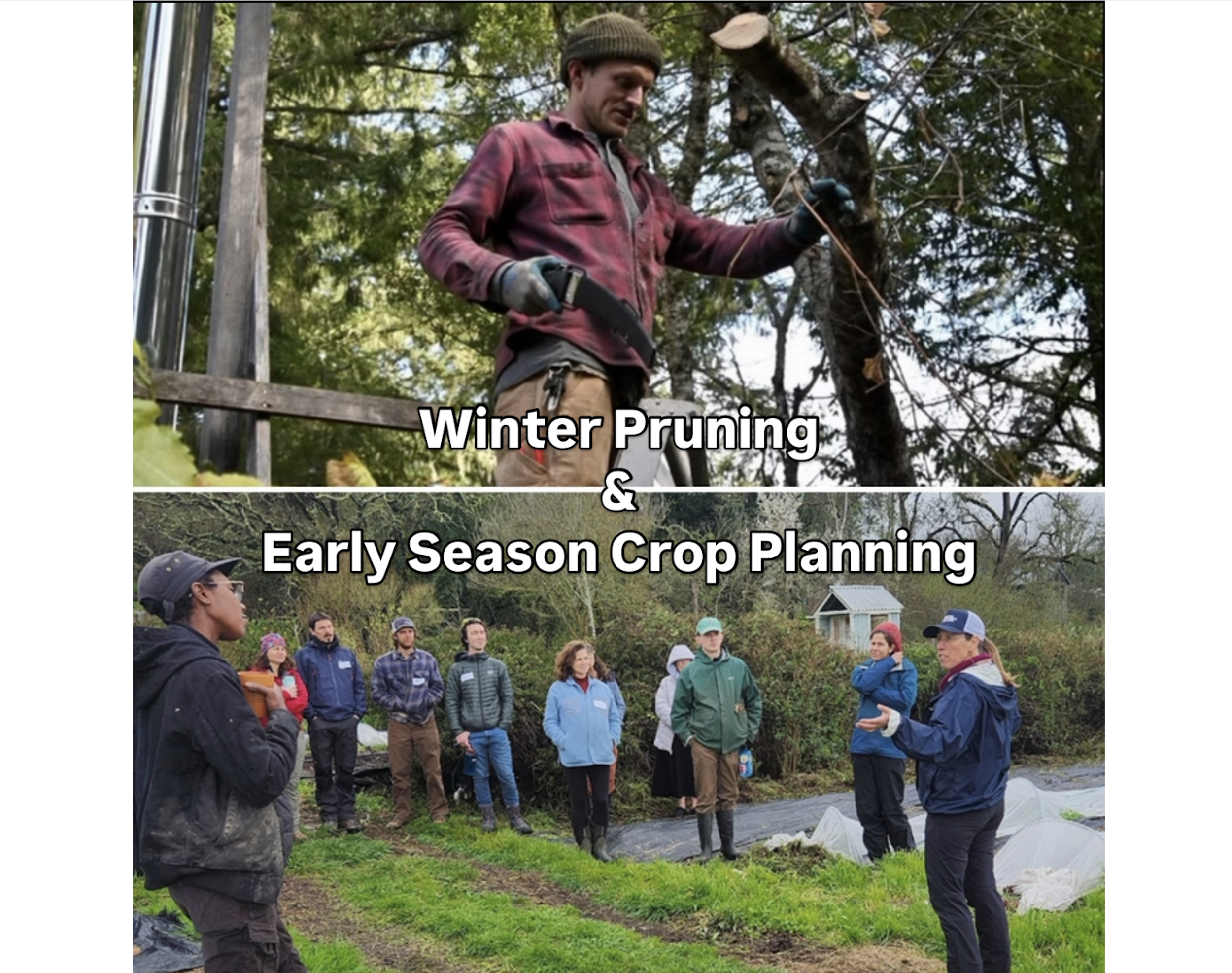 A person pruning a tree outdoors during winter, and a group of people gathered for a crop planning discussion in a garden area.