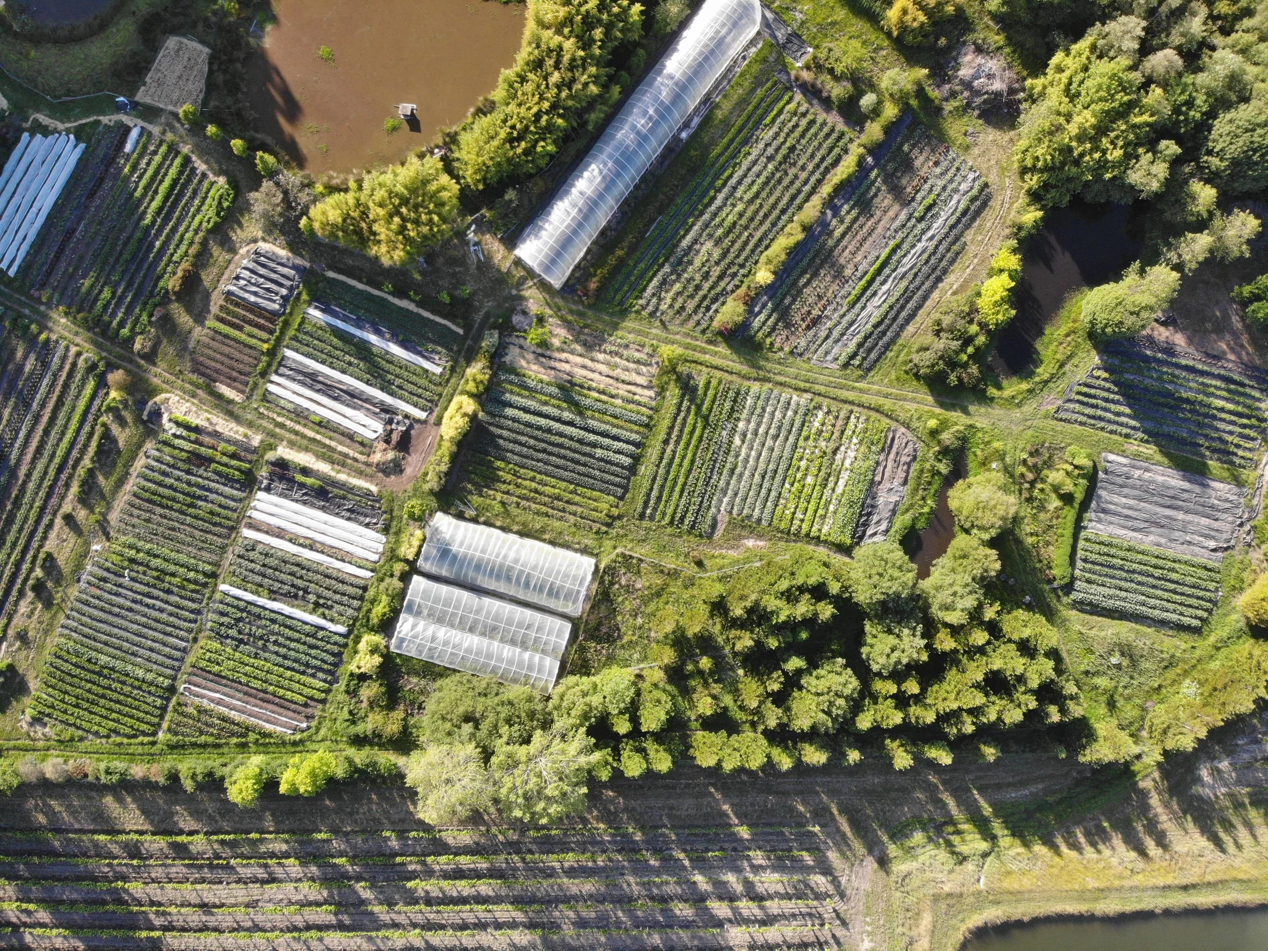 DJI_0088.JPG