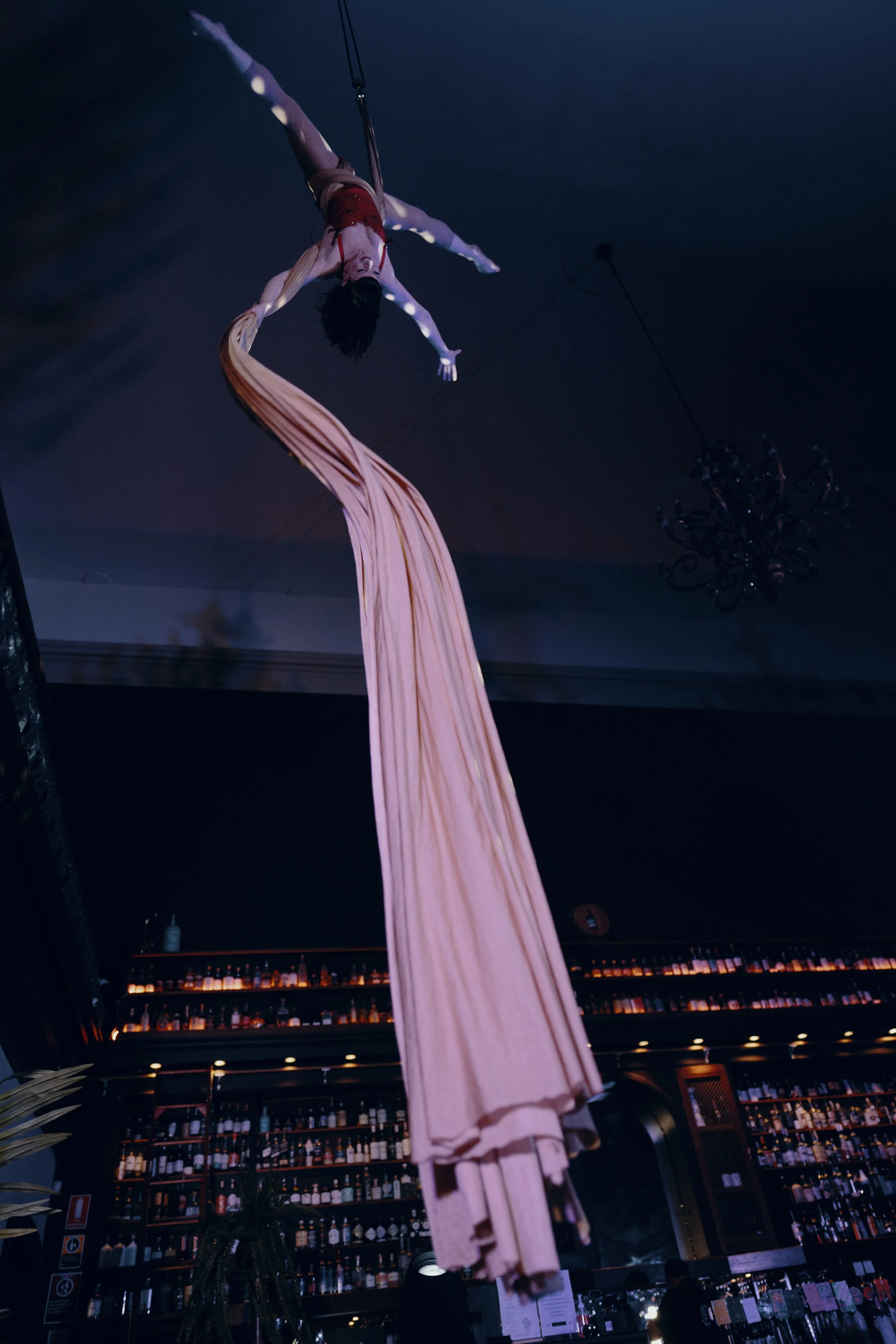 Winter Workshop Series - Silks with Catherine Wait aka Missy