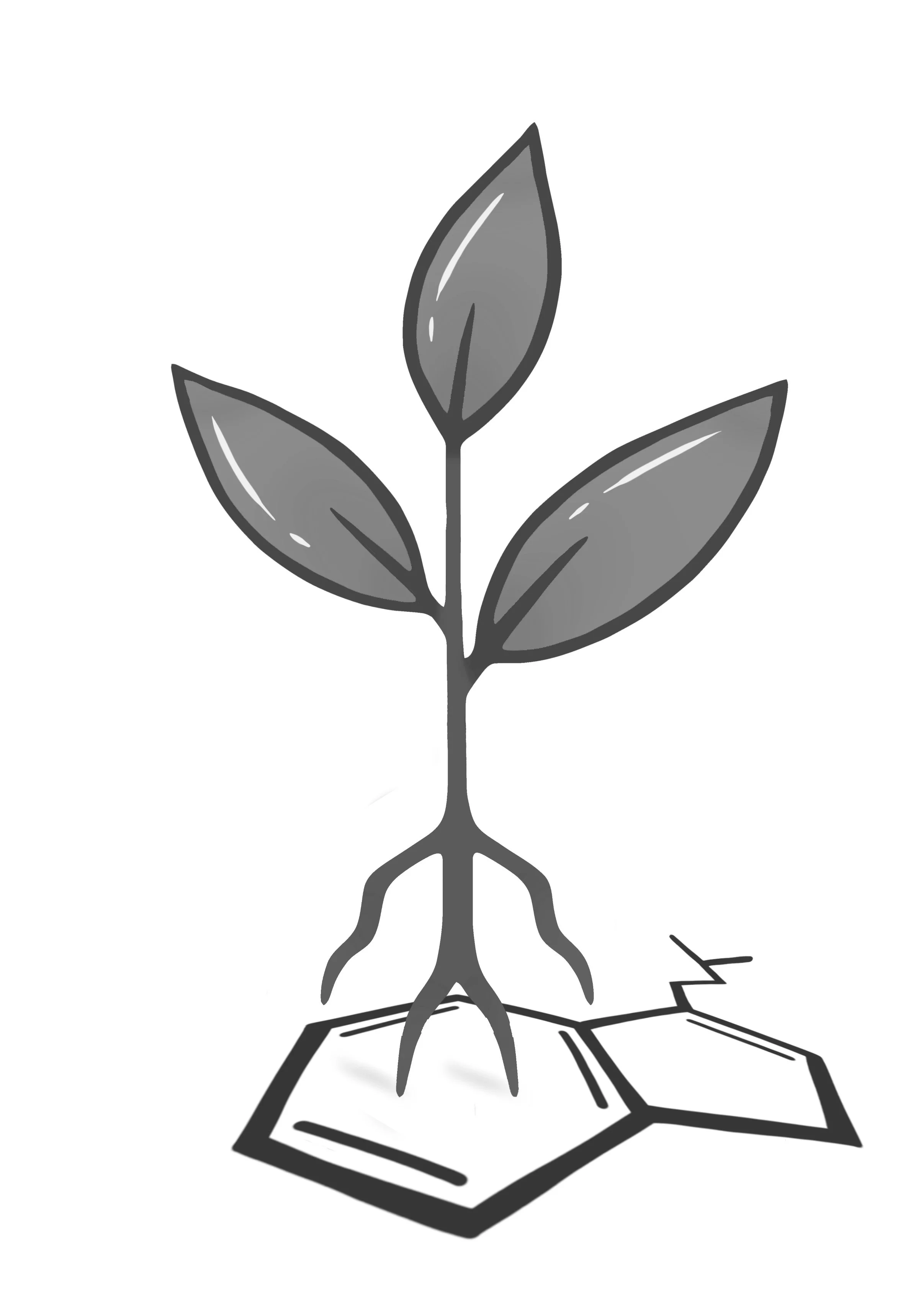 Grayscale digital illustration of a plant with four leaves and roots on a soil sample.