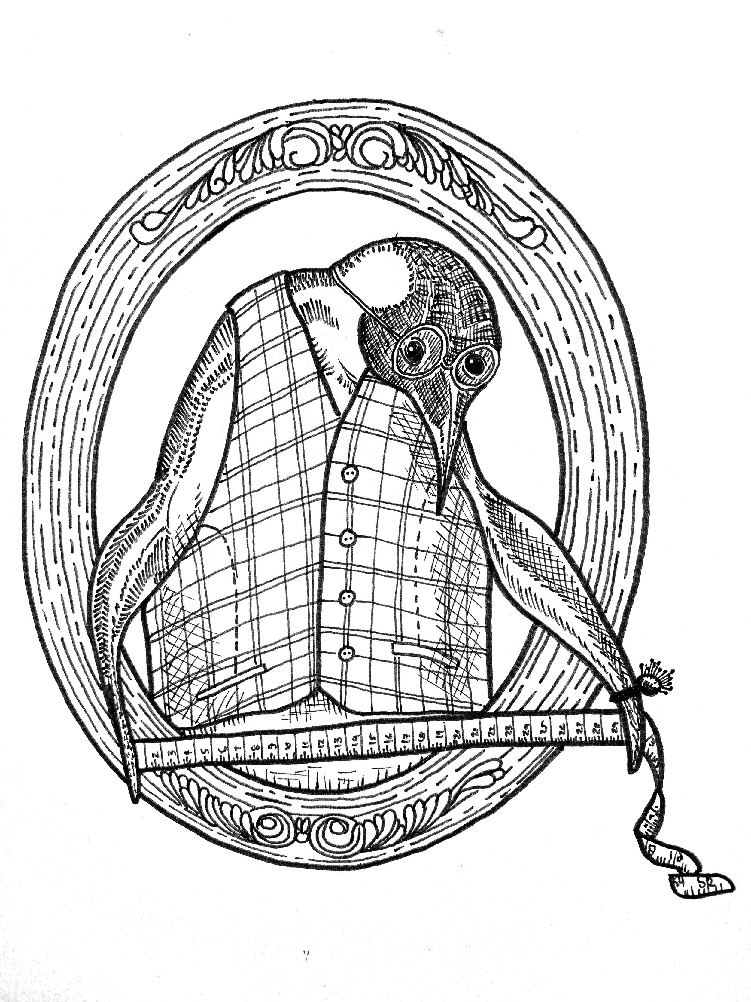 Tailor Penguin