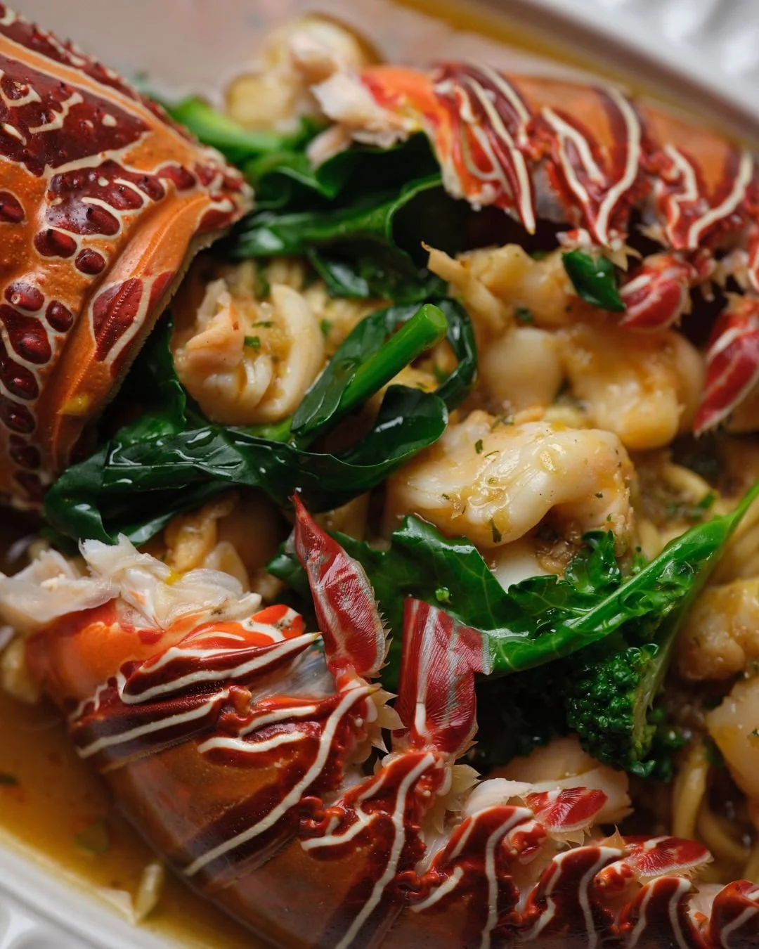 Santanera  (1080 x 1350 px) (63).jpg