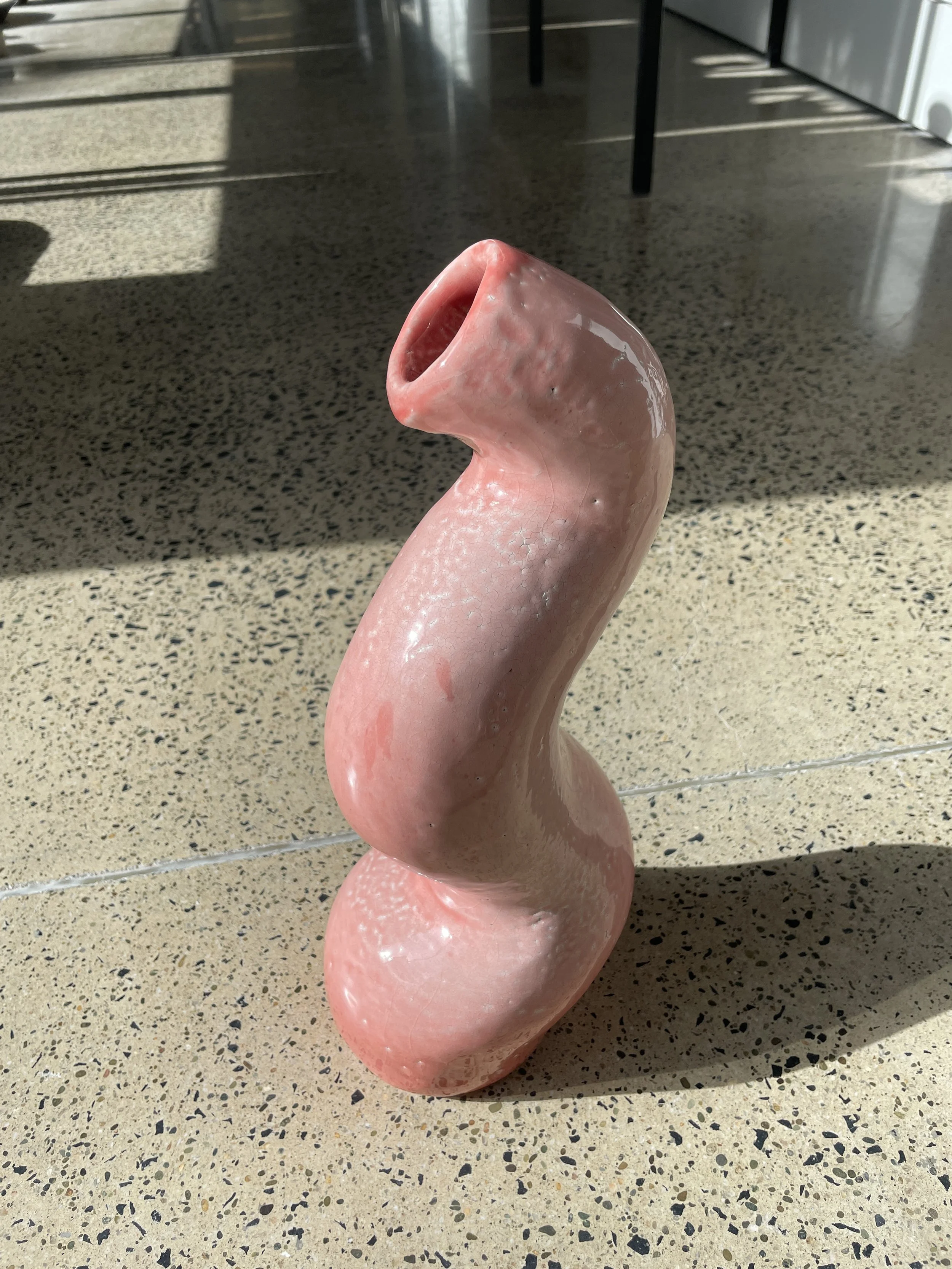 "My insides are pink and raw" 37cm x 17cm x 12cm. Hutch Gallery, April 2026