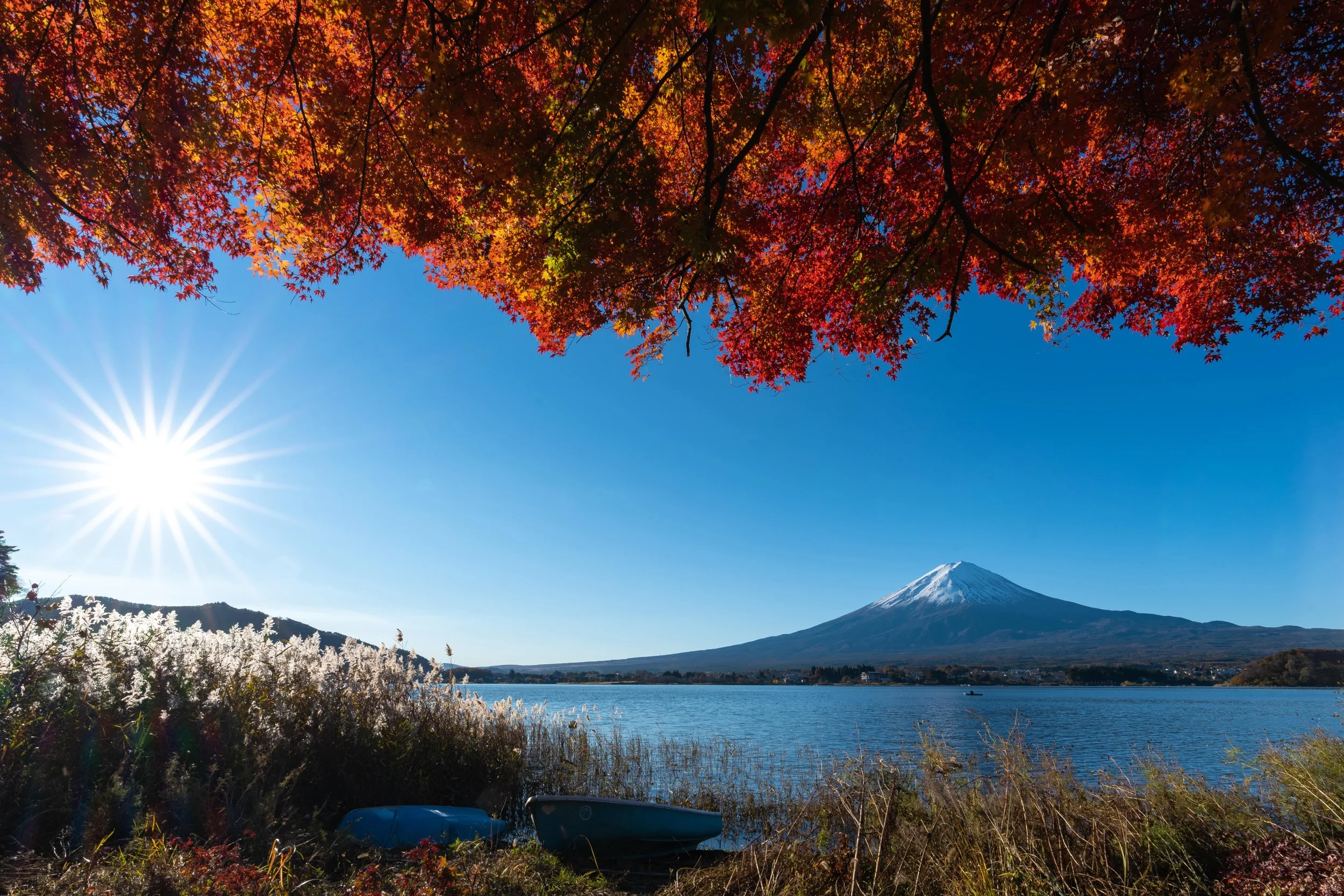 from the balcony-657-min.jpg