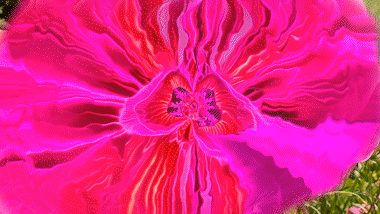 Bahska - Lastri Garden