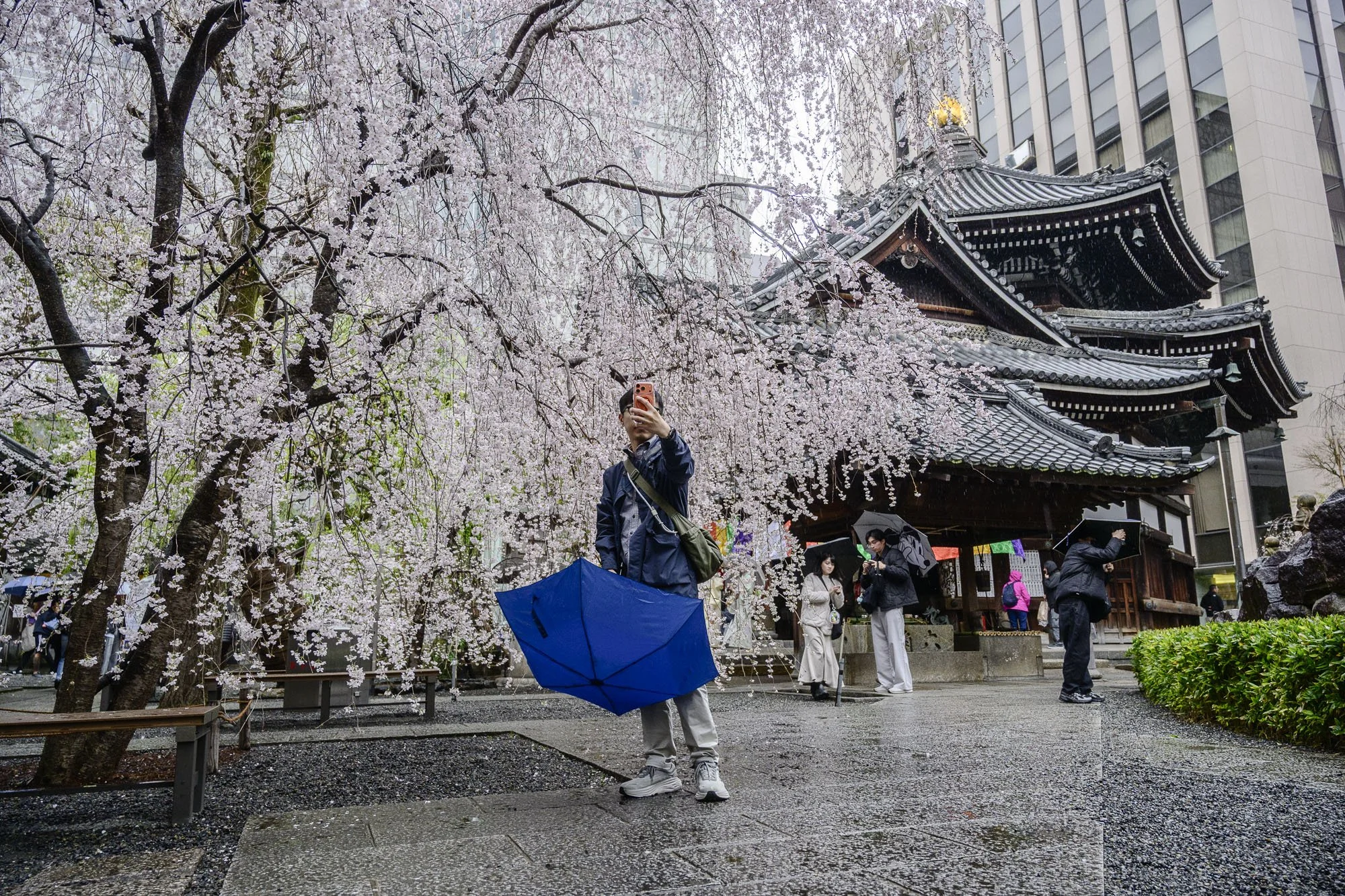 Kyoto_Choho-ji_Rokkaku-do_260325_020_1.jpg
