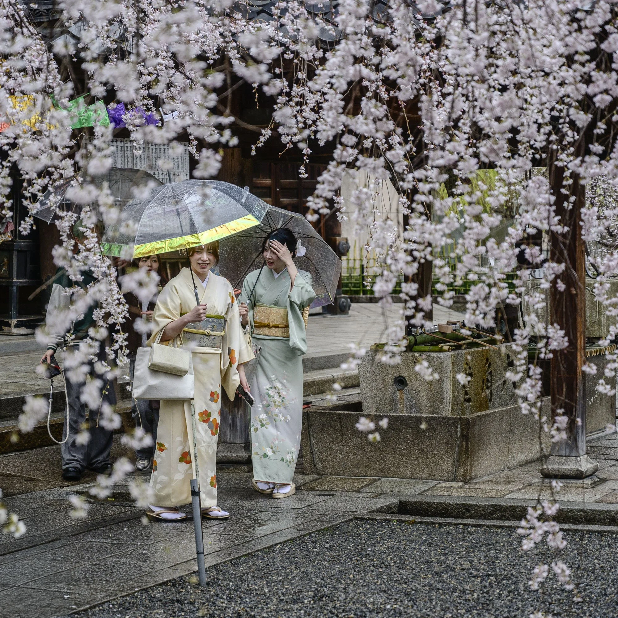 Kyoto_Choho-ji_Rokkaku-do_260325_016_SQ RT.jpg