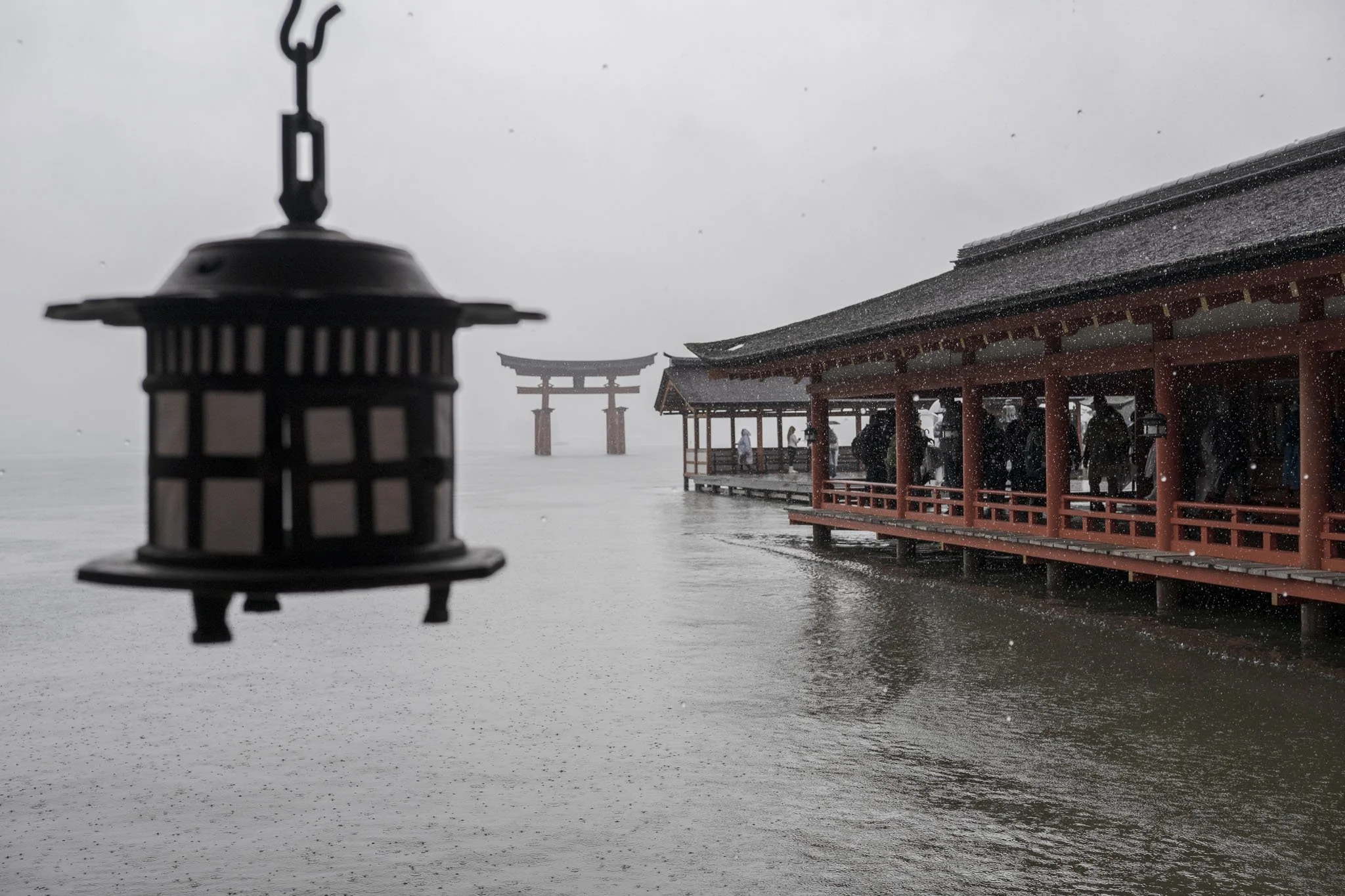 Miyajima_260404_060.jpg