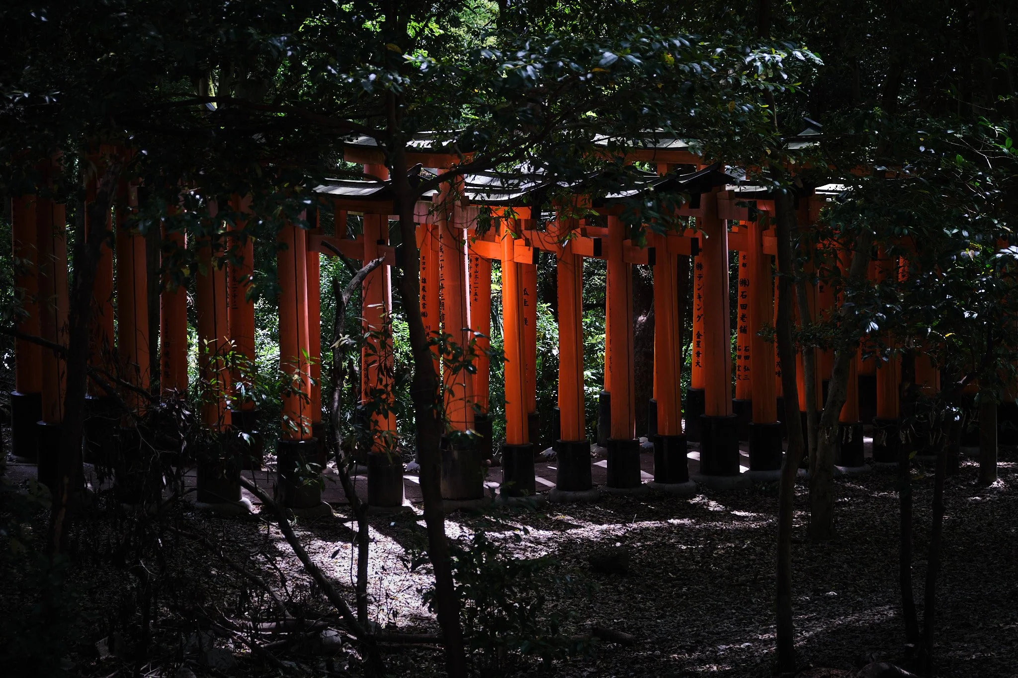 Fushimi Inari, Kyoto