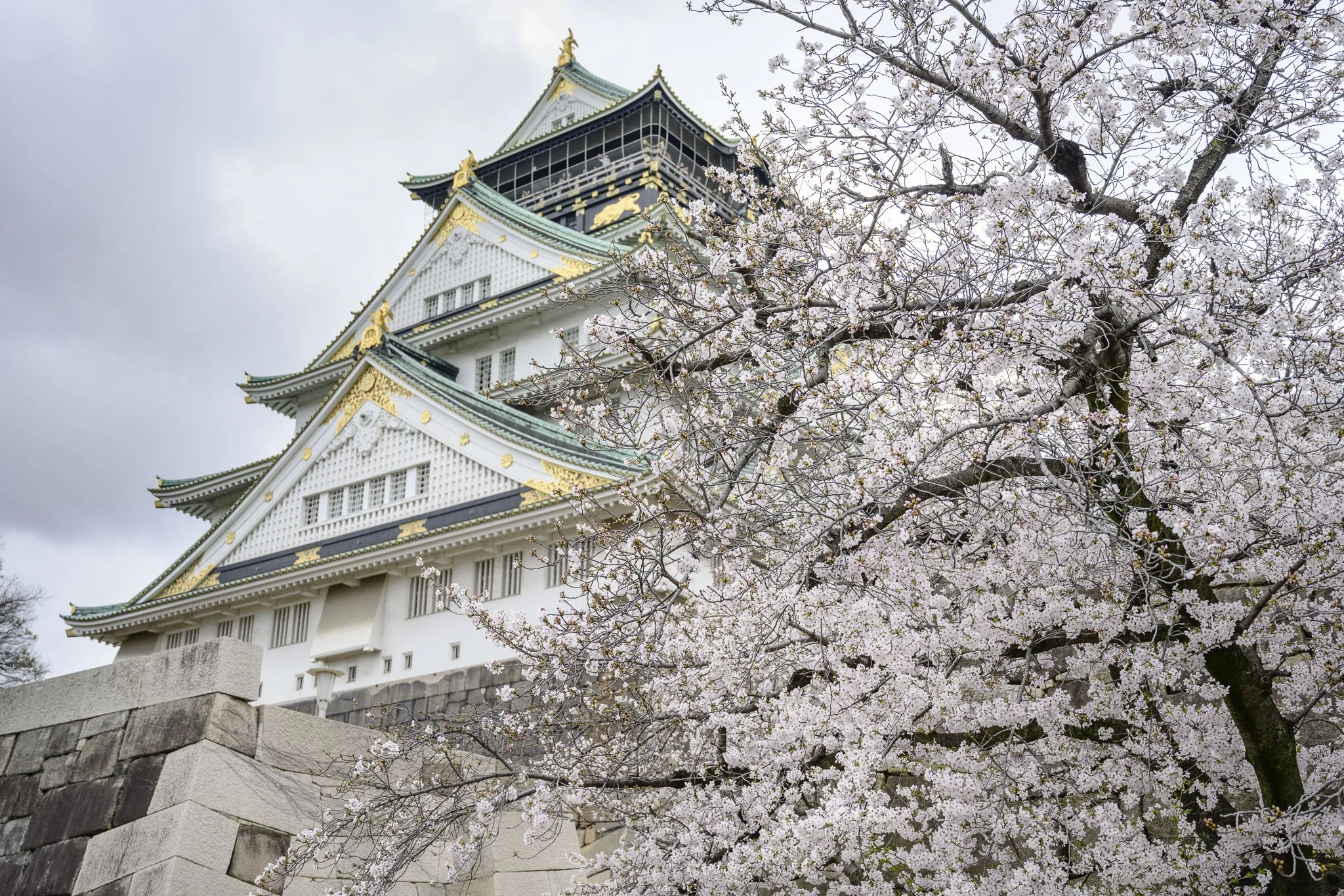 Osaka_Osaka Castle_260431_053.jpg