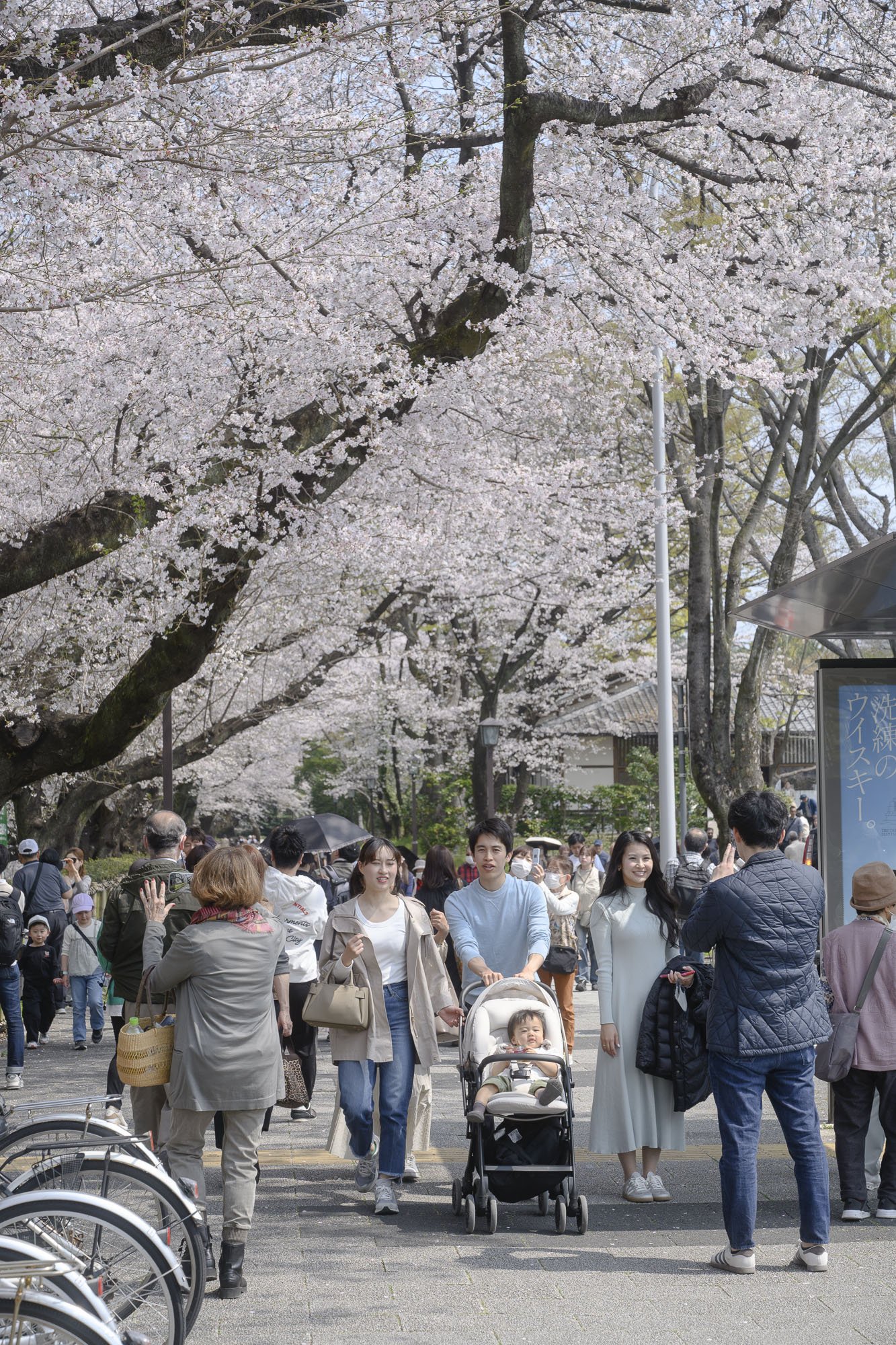 Nagoya_Castle_260329_031.jpg
