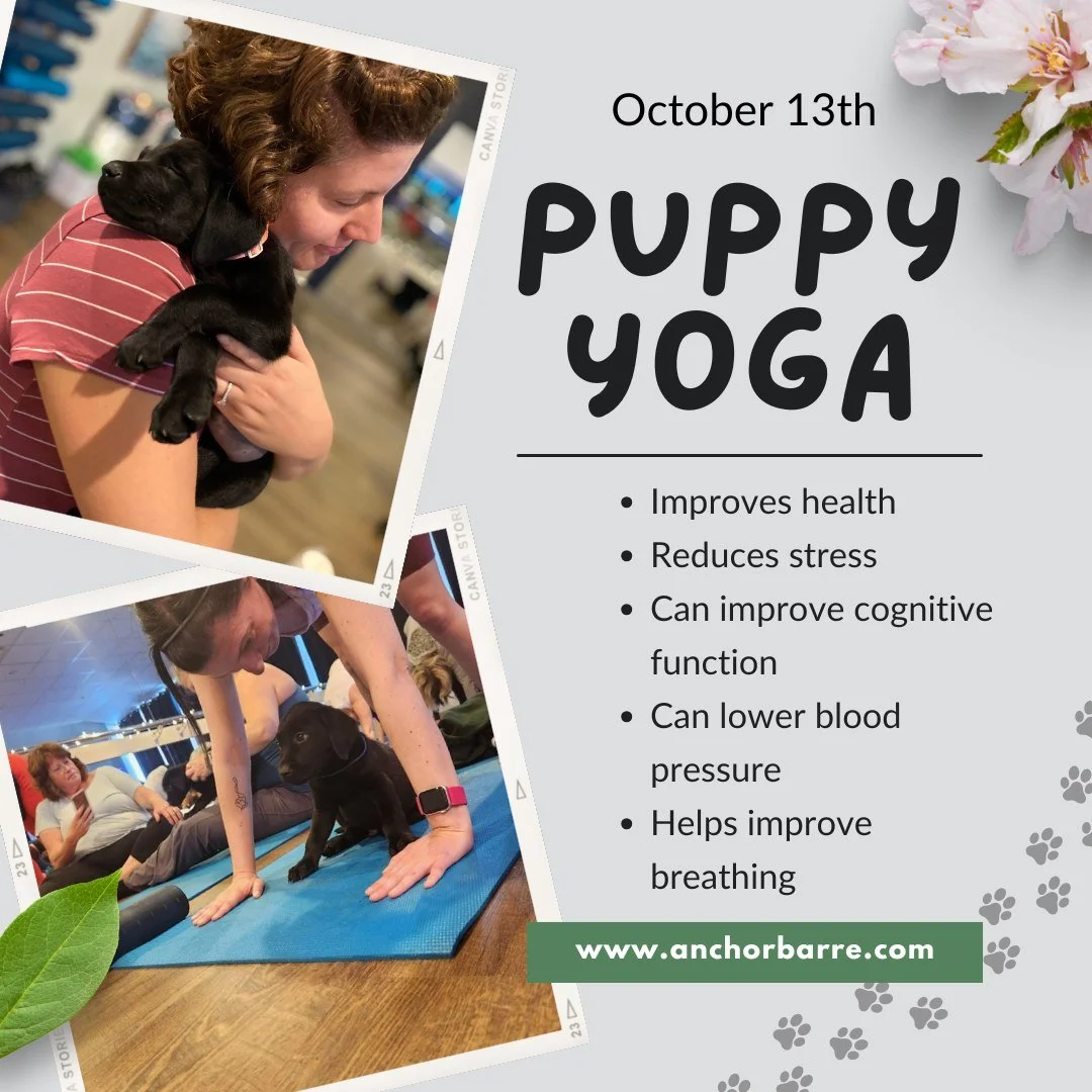 Less than a month away and spots are filling up fast. Grab your spot today by registering on our FREE Anchor Barre app. 

Inhale, exhale, down dog, repeat 🐾
