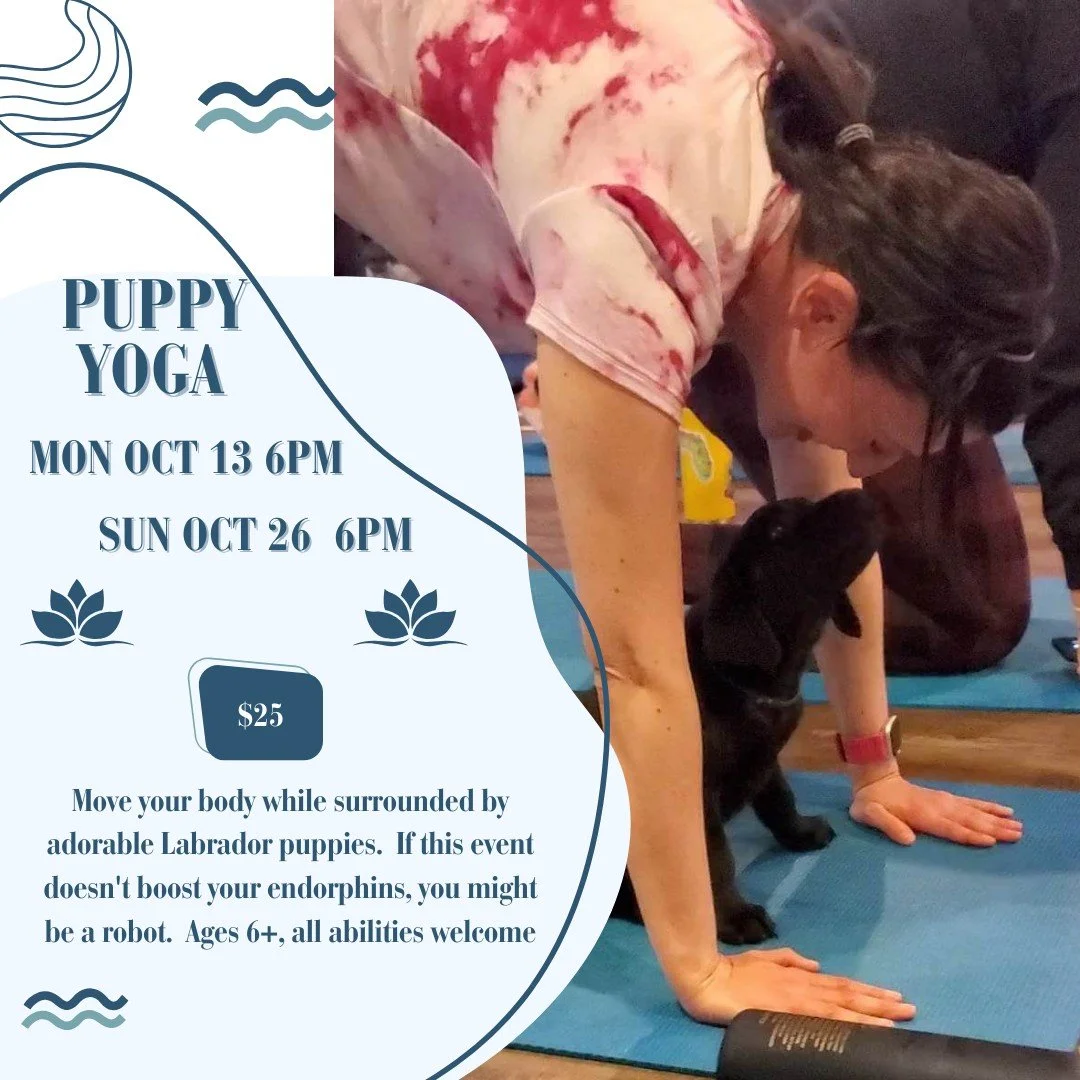 Puppy Yoga is BACK