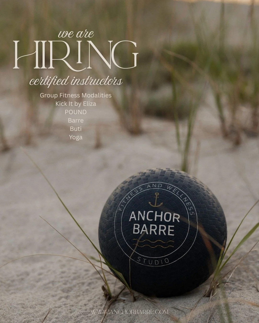 We want YOU to join our Anchor Barre crew!
Are you a current certified fitness instructor? Are you looking to expand your classes or join a new team? You may have found your new favorite place (and people) here at the barre. We are adding to our Ins