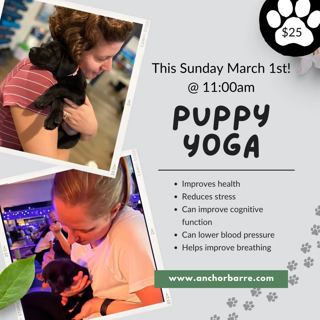 Puppy Yoga is back!!

Come in from the snow and snuggle with puppies this Sunday!