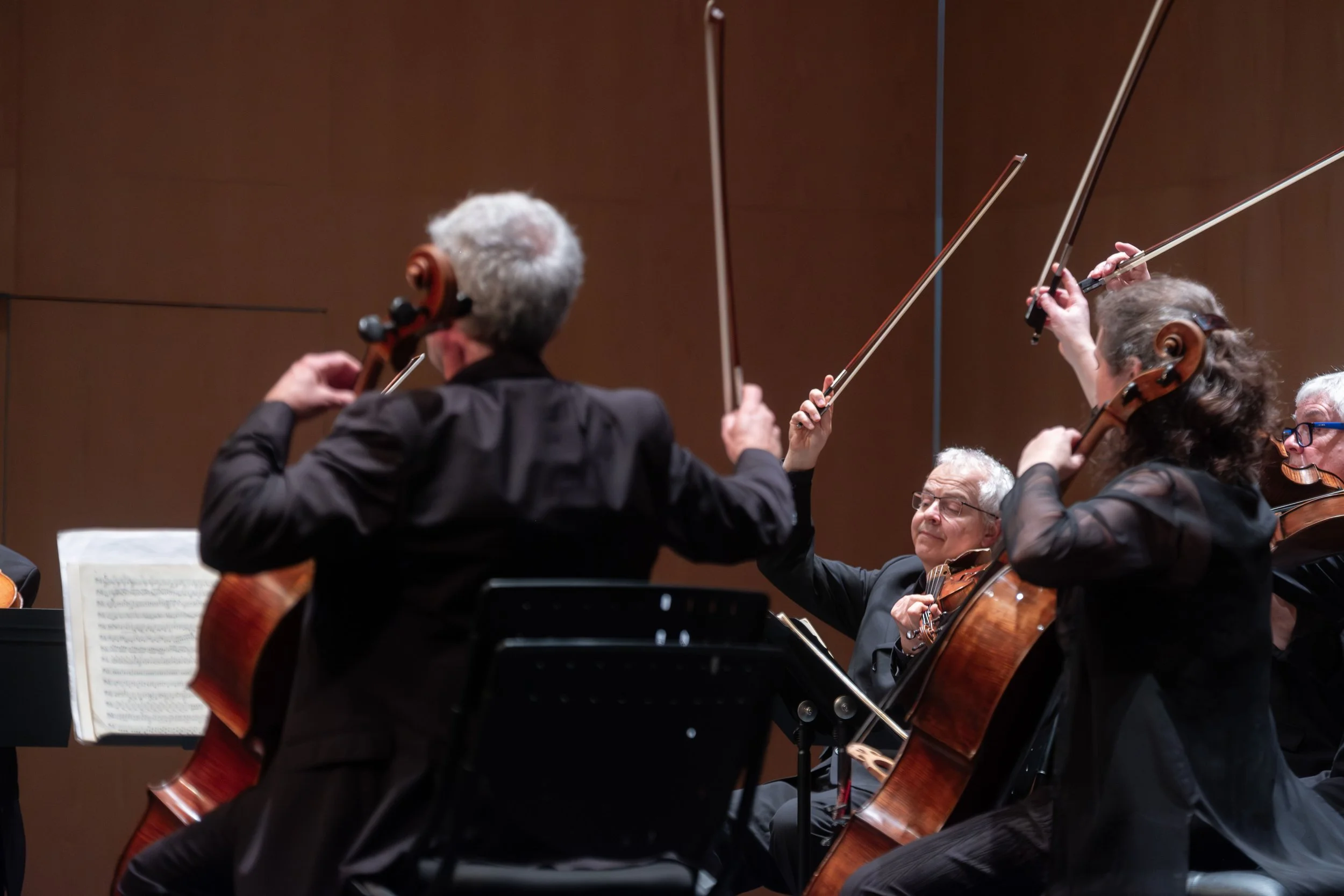 Summer String Quartet with Academy of St Martin in the Fields at The Battery