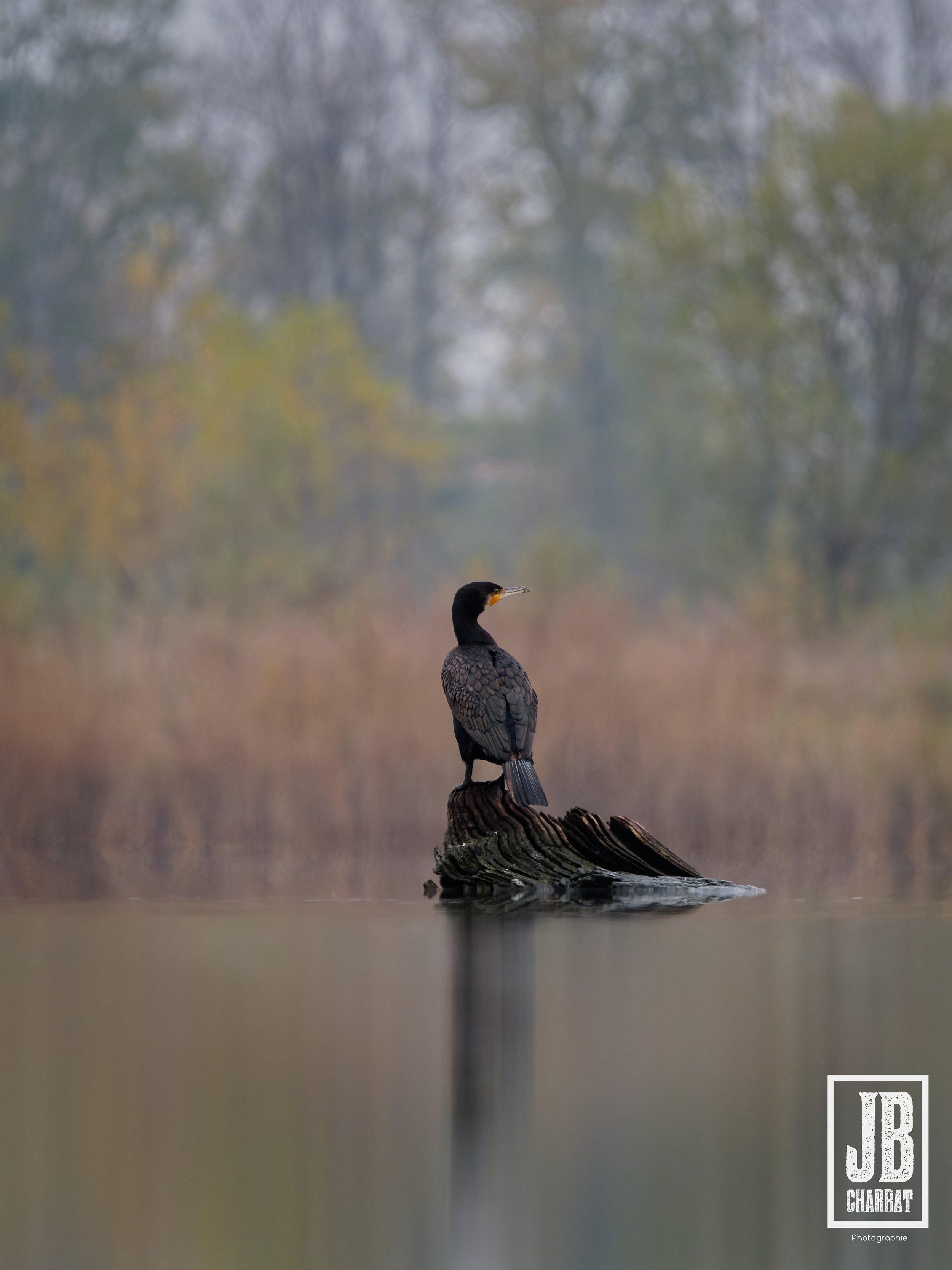 _B129812_DxO.jpg