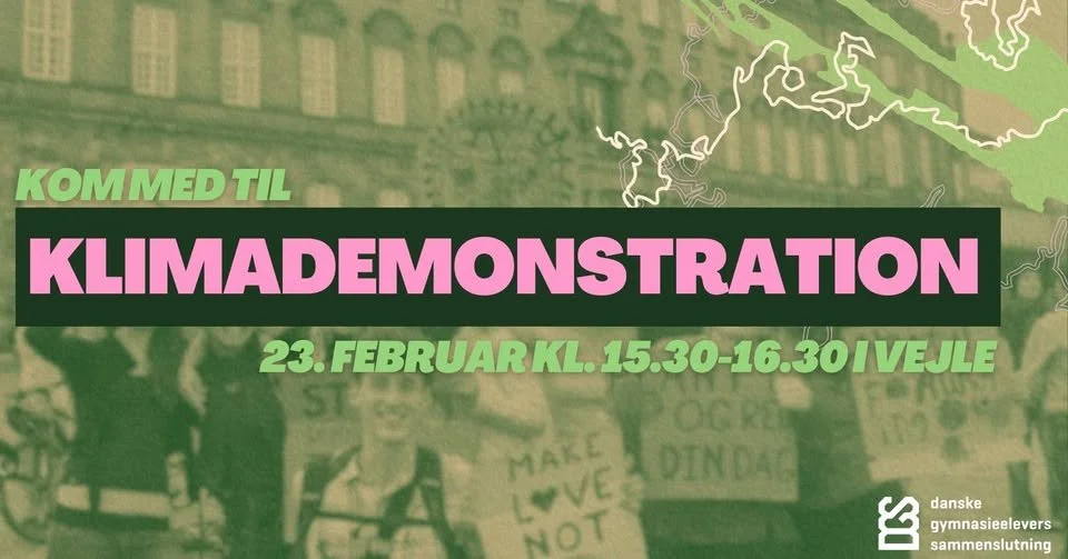 Gymnasieelevernes Klimademo