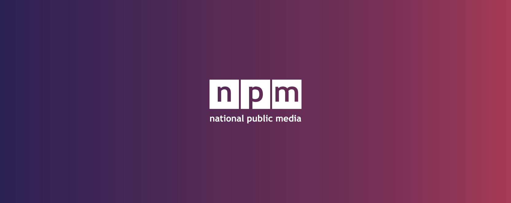 Case Study: How National Public Media Unified Advertising Data with Burt
