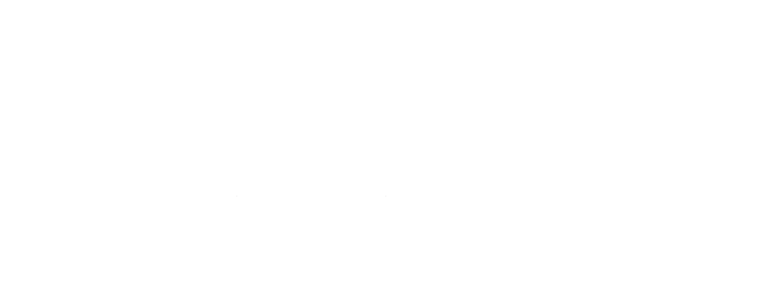 WHAT DOES BURT MEAN visual data 3