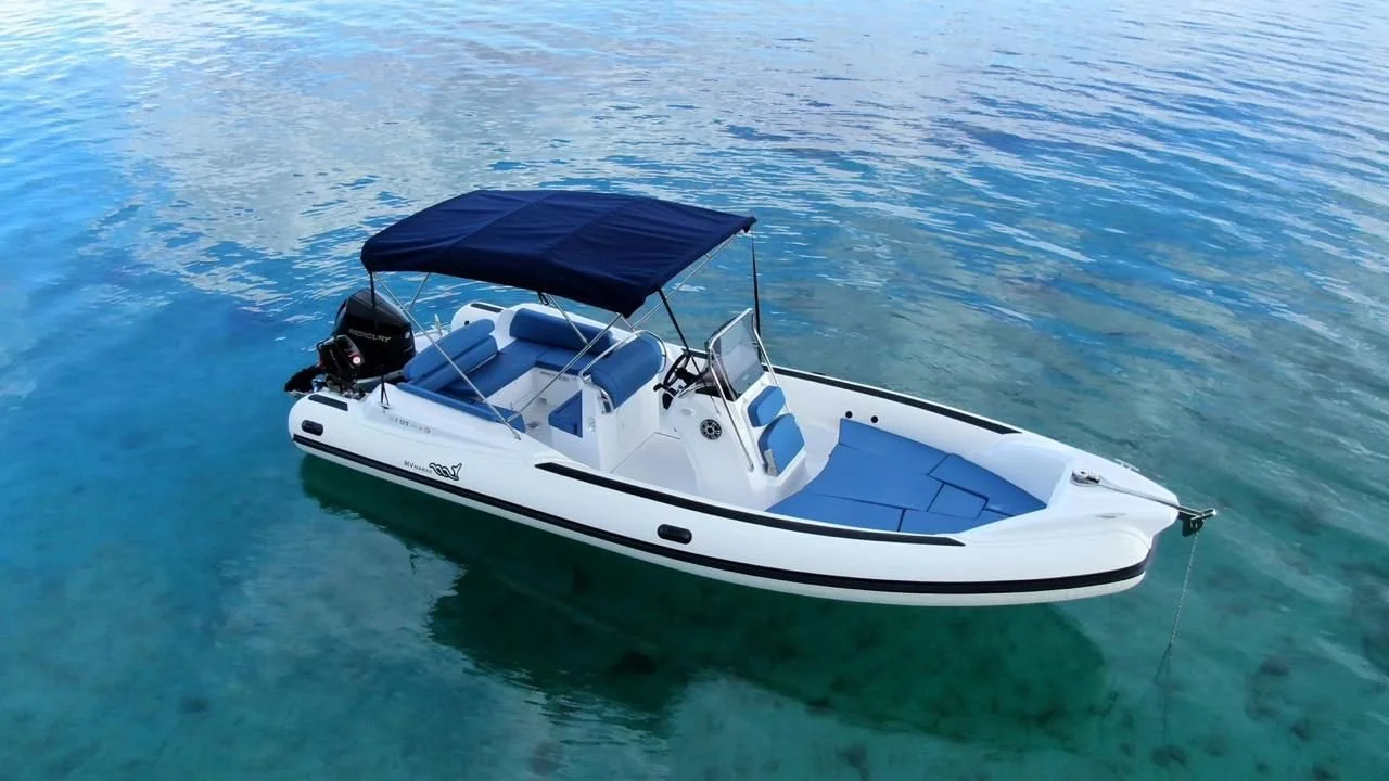 GT RIB F/R11