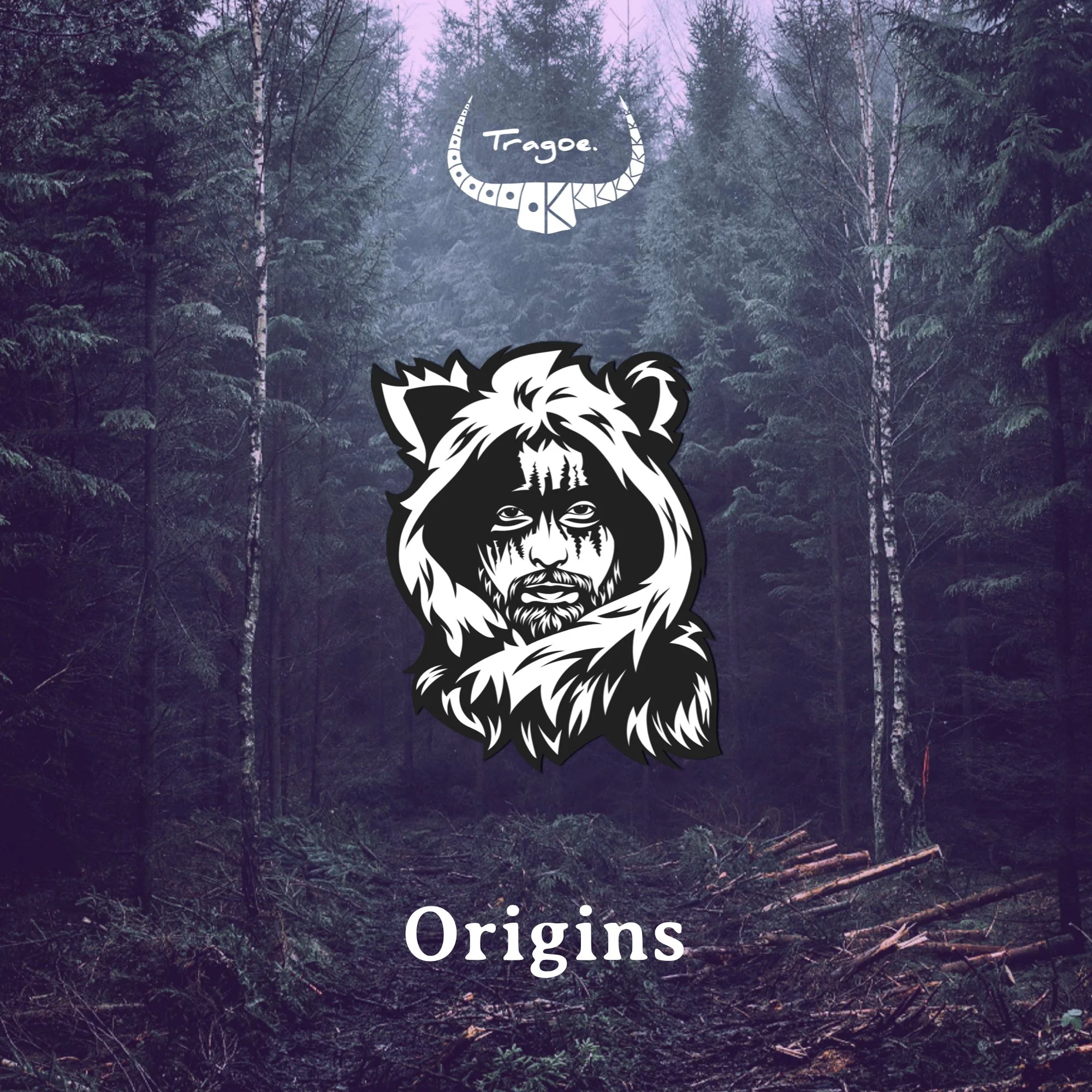 Album 'Origins' Cover.jpg