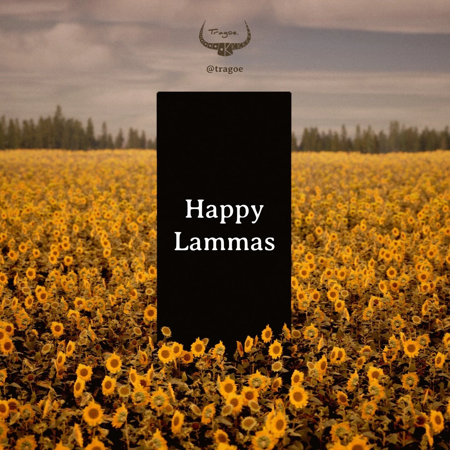 Blessed Lammas/Lughnasadh 🌻⁠
⁠
Follow @tragoe for Pagan culture⁠
Follow @tragoe for Pagan culture⁠
⁠
Blessings to this wonderful tribe!⁠
⁠
May Mother Earth give you abundantly what you're looking for⁠
⁠
Thank you Lugh for the harvest⁠
⁠
Hello Fall, 