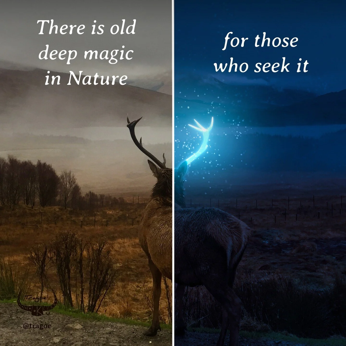 Do you feel the same way?⁠
⁠
Follow @tragoe for Pagan culture⁠
Follow @tragoe for Pagan culture⁠
⁠
I had this thought last week, and I was looking for a way to visualise it⁠
⁠
Then I found this amazing piece by Vanessa M. (she doesn't seem to have an