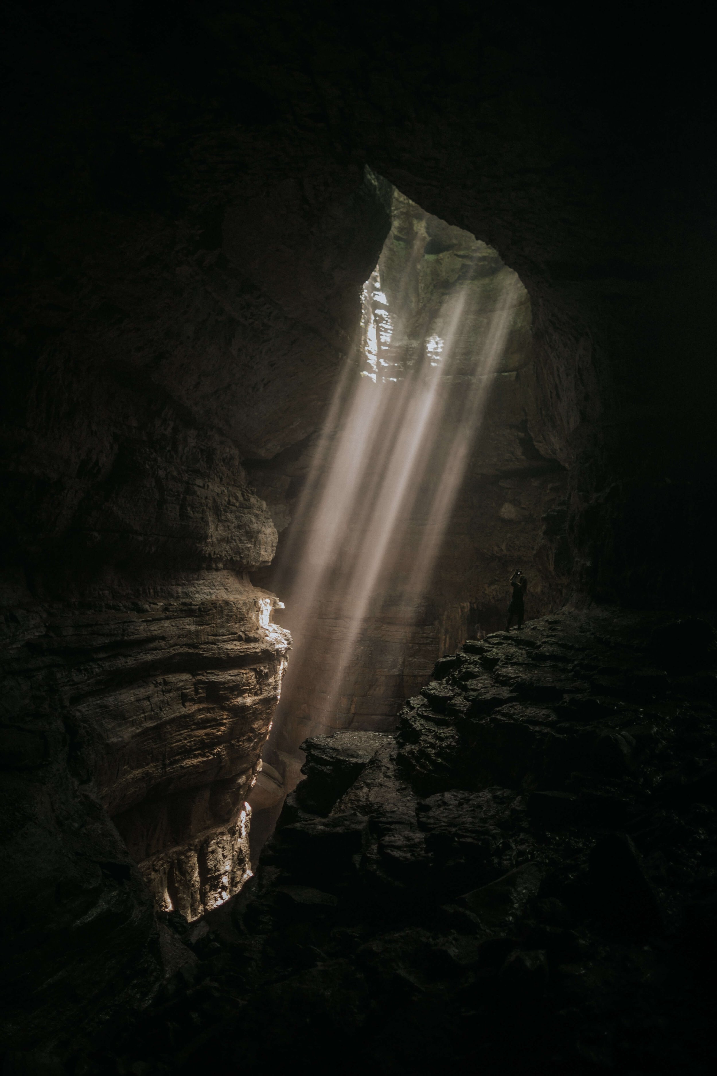 ivana-cajina-Hi0bdO0vEfo-unsplash (1).jpg