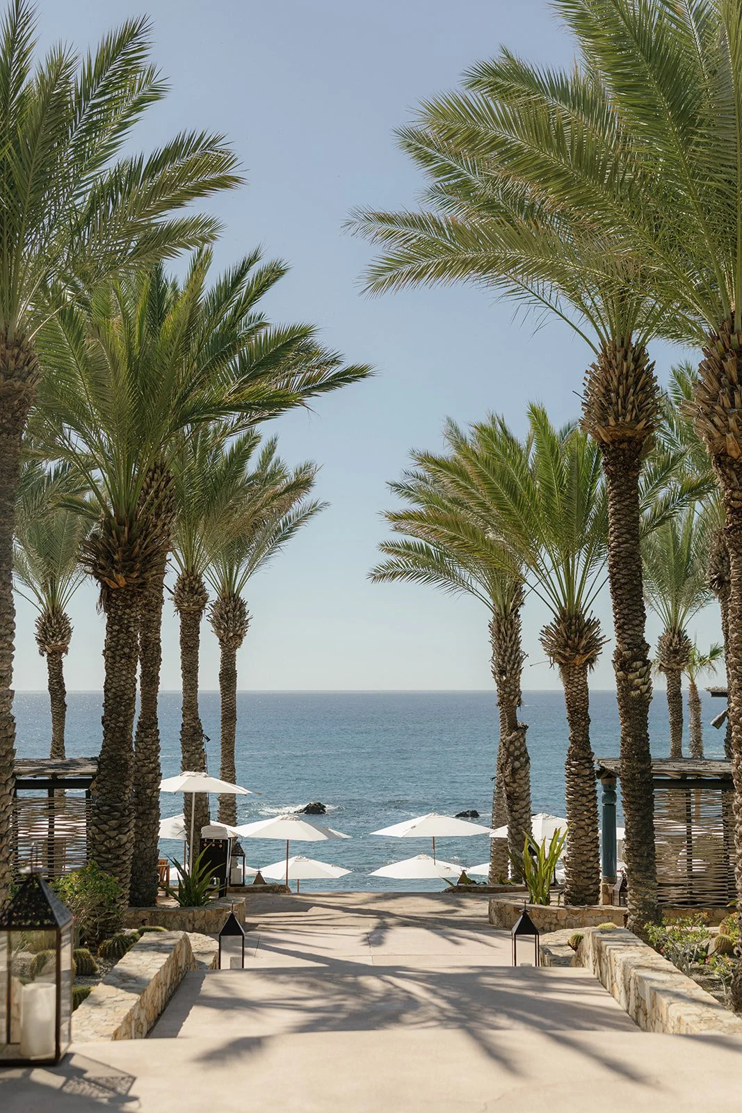 cabo-san-lucas-wedding-laura-powers-photo-esperanza-resort-19.jpg
