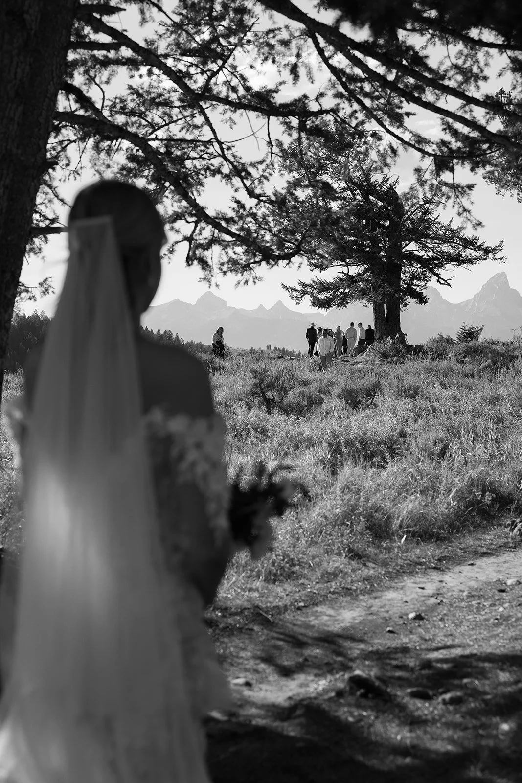 Black and white photo of a bride with a veil holding flowers, facing a group of people gathered under a large tree outdoors with mountain in the background.