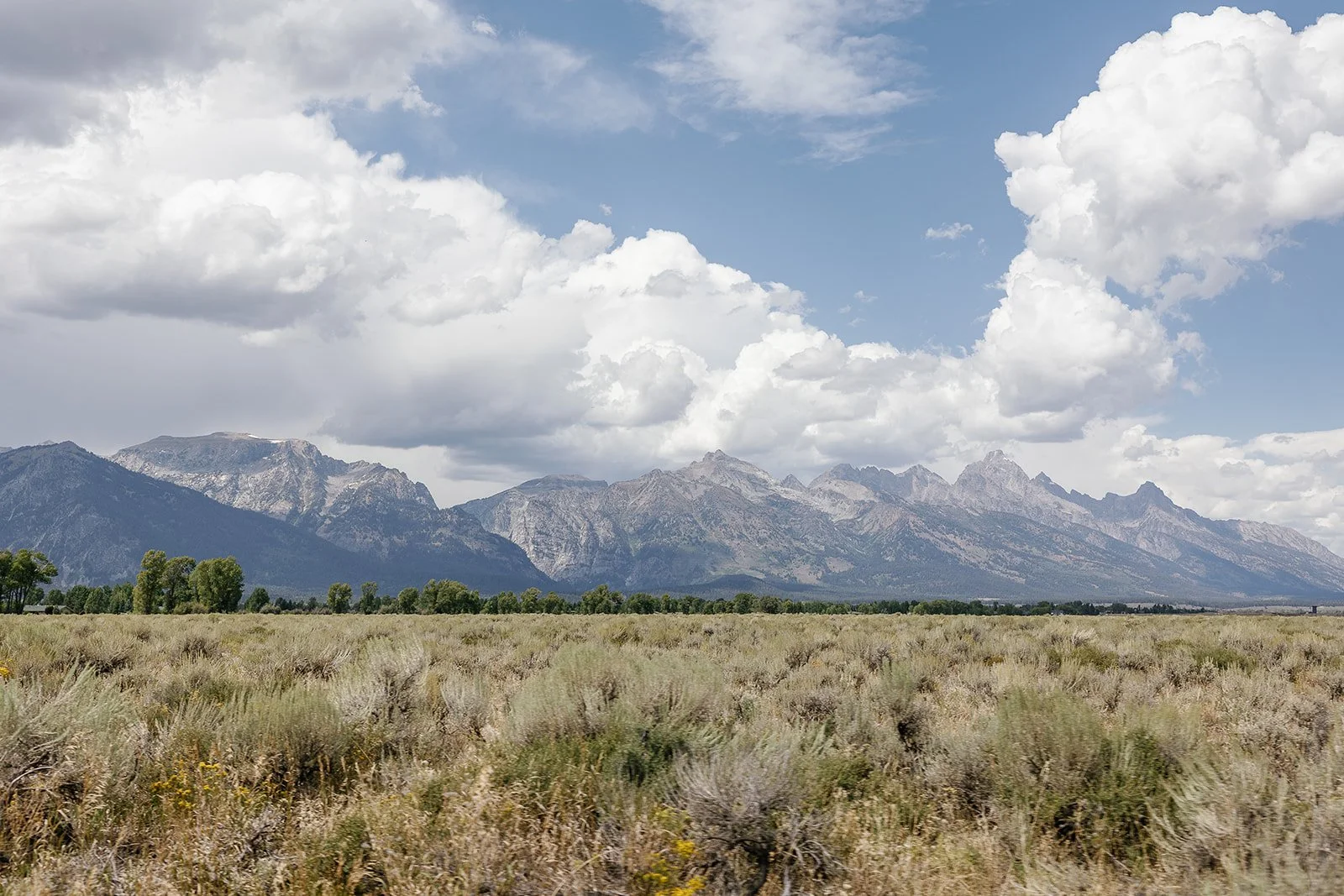 A landscape scene with a mountain range in the background, a partly cloudy sky, and a field of low shrubs or grass in the foreground.