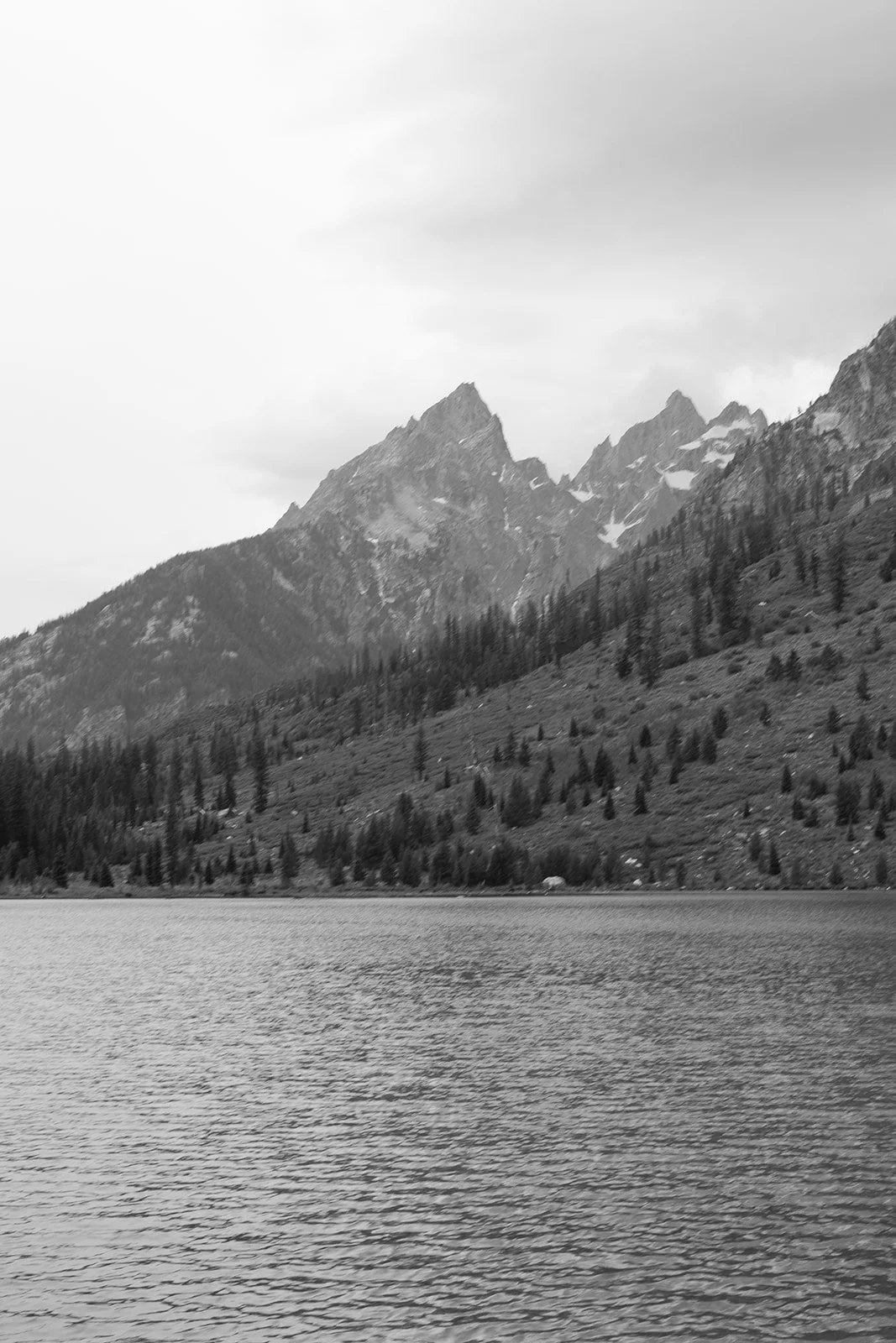 Black and white photo of a mountain range with a lake in the foreground, pine trees on the slopes, and cloudy sky above.