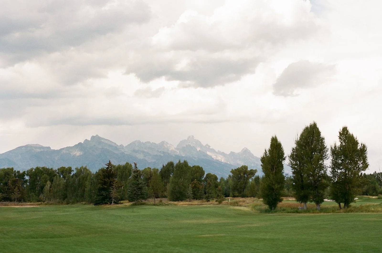 A landscape featuring a golf course with green grass in the foreground, a line of trees, and mountains with snow-capped peaks in the background under a cloudy sky.