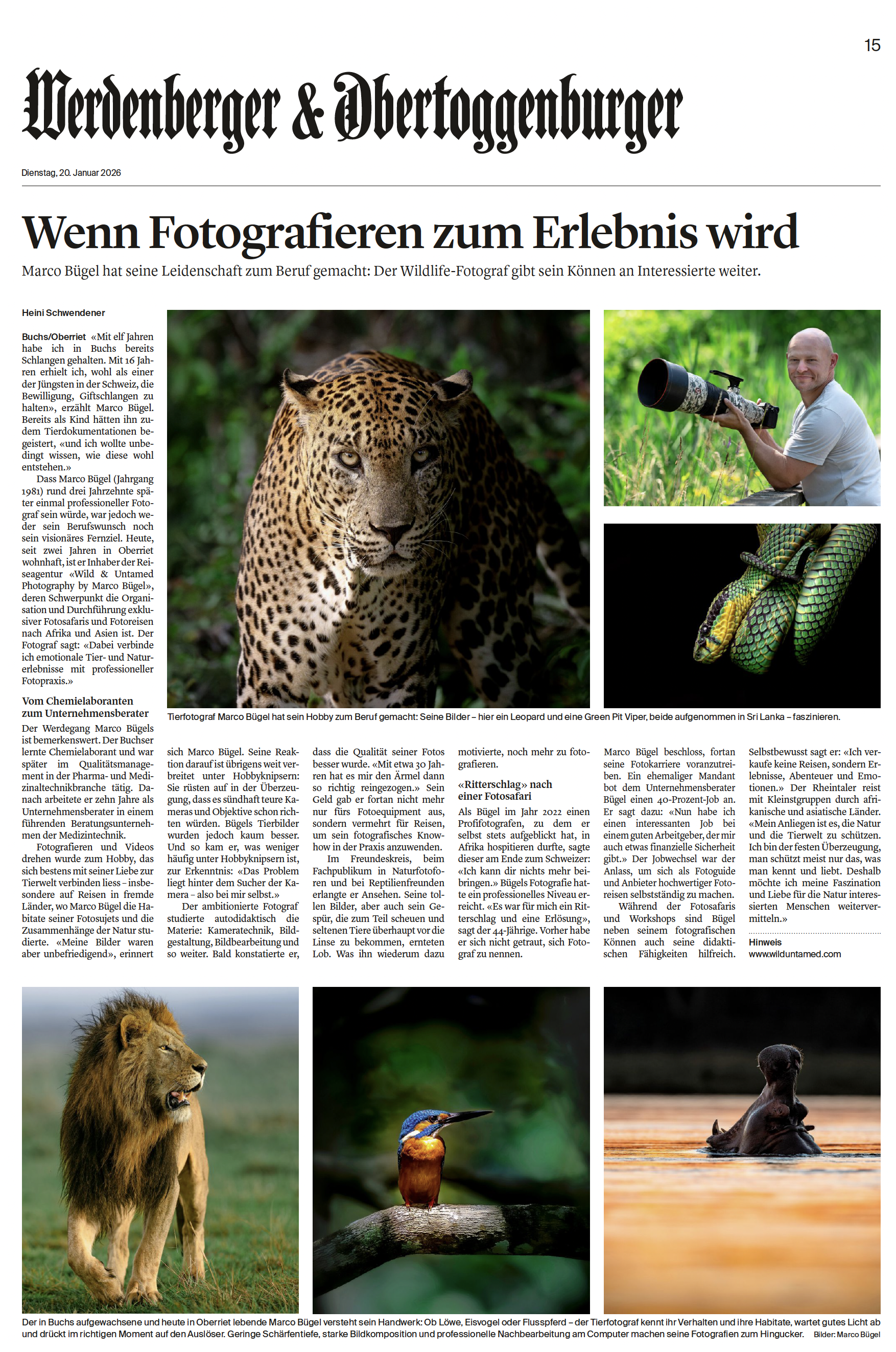 Pressebericht / Medien